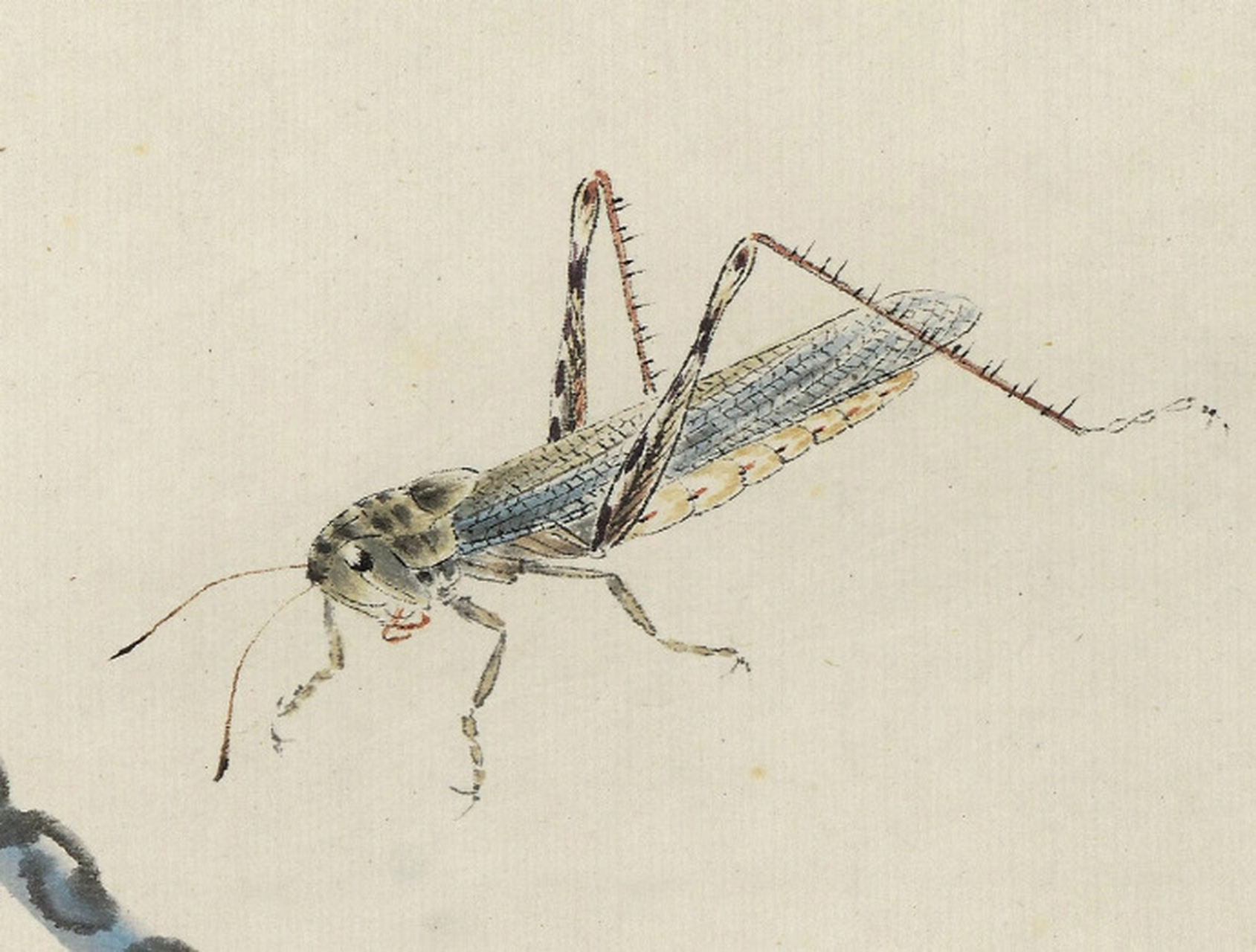 齐白石笔下的小动物们 #齐白石# #齐白石画集# #绘画作品#