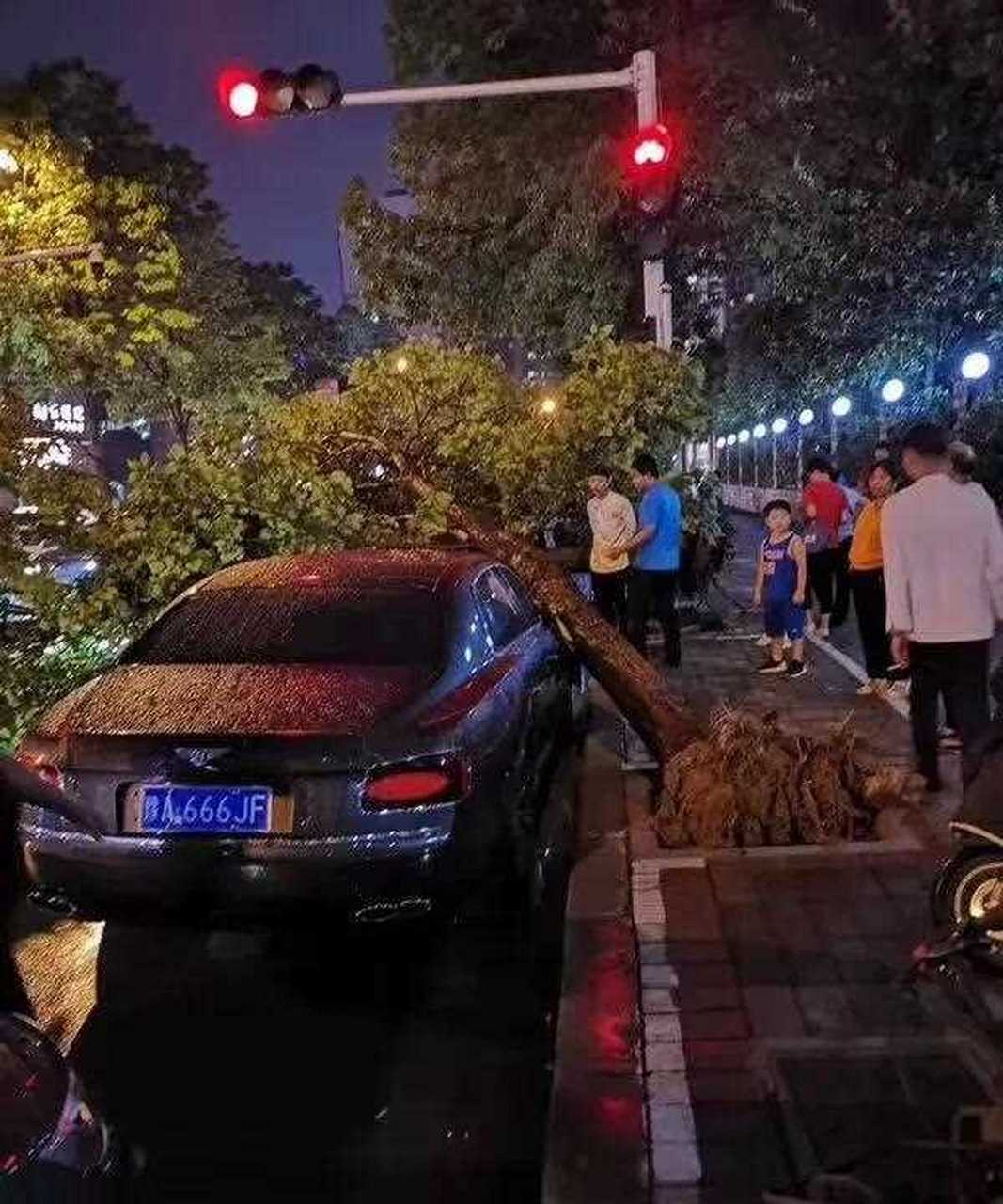 粉絲投圖,颳風下大雨一定要注意安全[沒眼看]