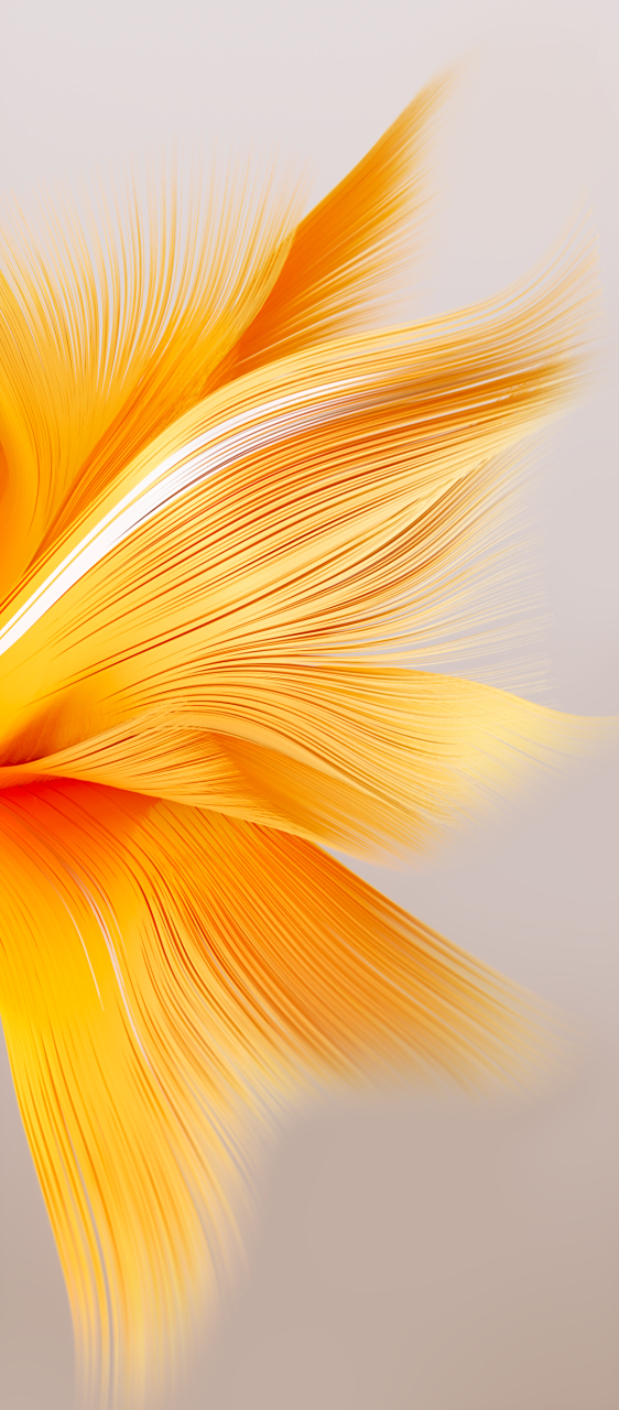 【每日壁纸】厂牌系列:传音infinix note 30系列(第二弹).