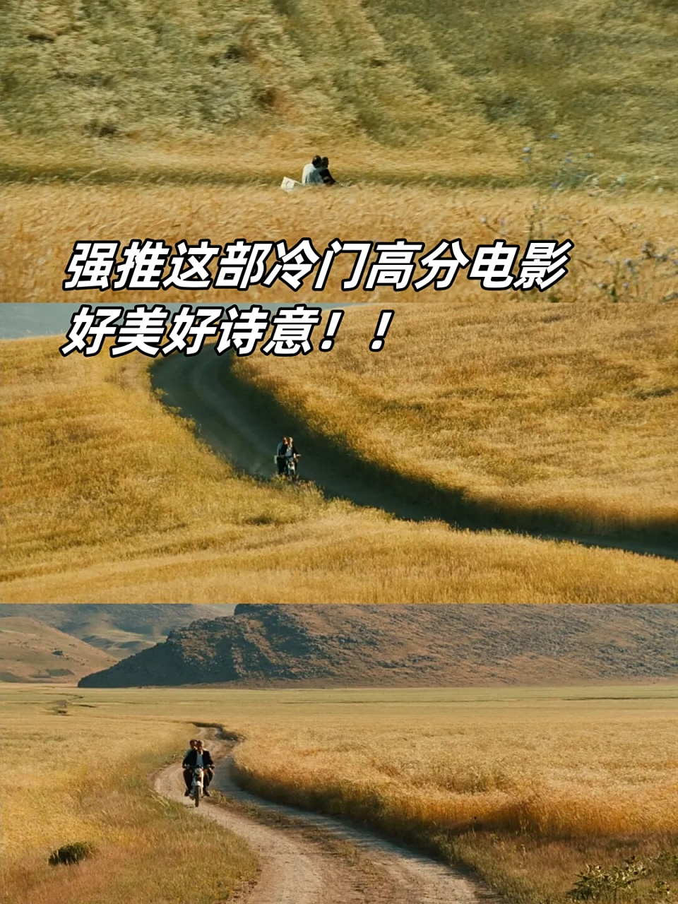 🎥片名:《随风而逝》 👍db评分:8