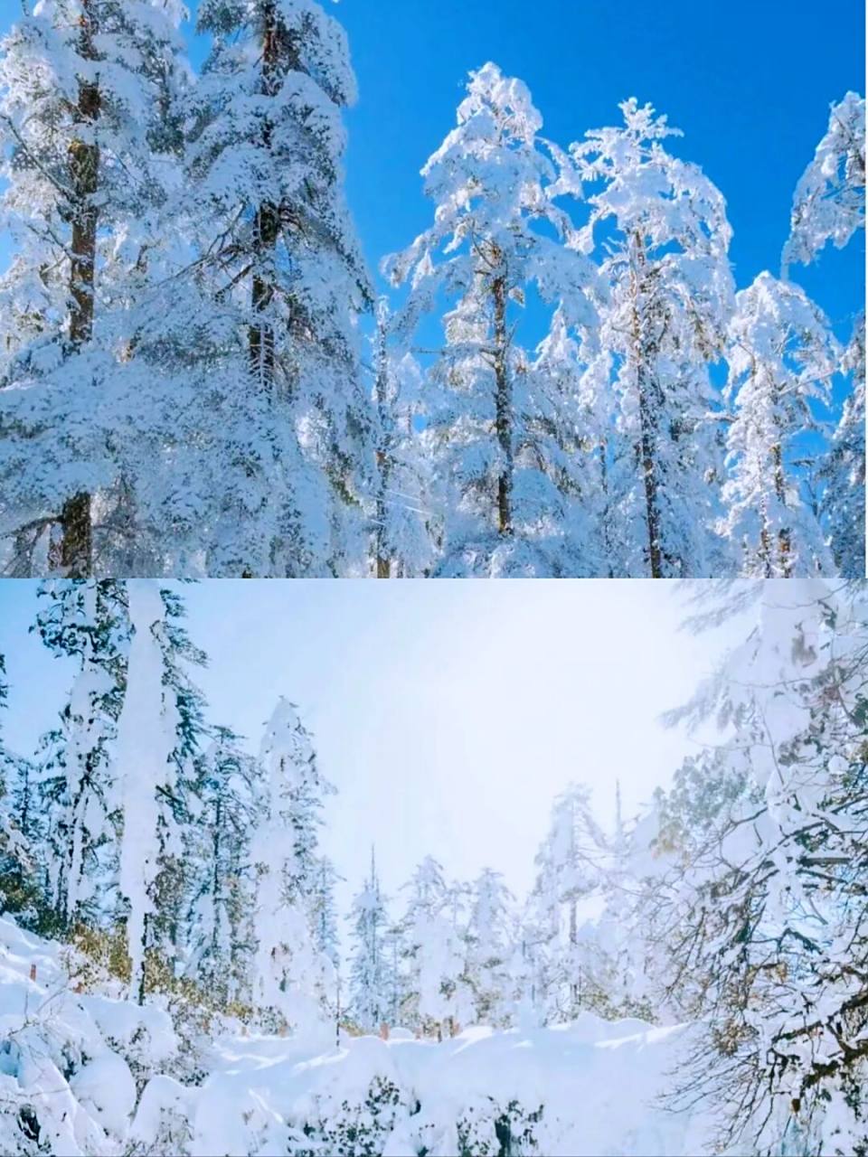 成都冬天去哪里旅游(成都冬天去哪里旅游比较好)