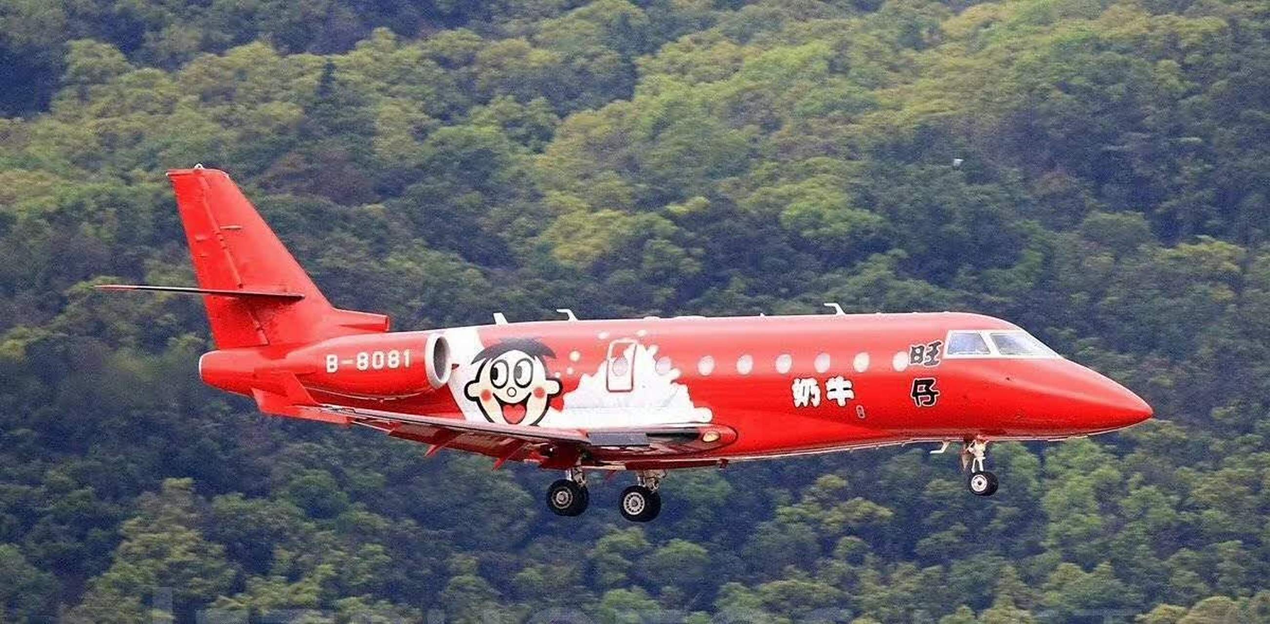 谁没见过旺旺的私人飞机,好可爱?[三哈]