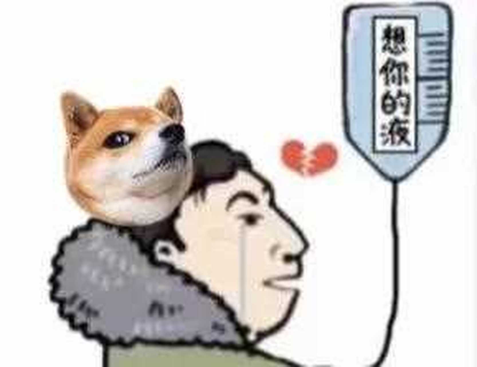 热搜上:王思聪的狗,王思聪吃热狗,王思聪是舔狗,王思聪的老铁是林狗.