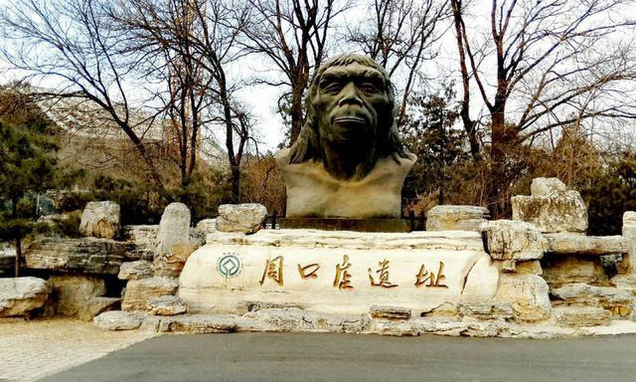 时隔50年,周口店北京人遗址新发现古人类顶骨化石.