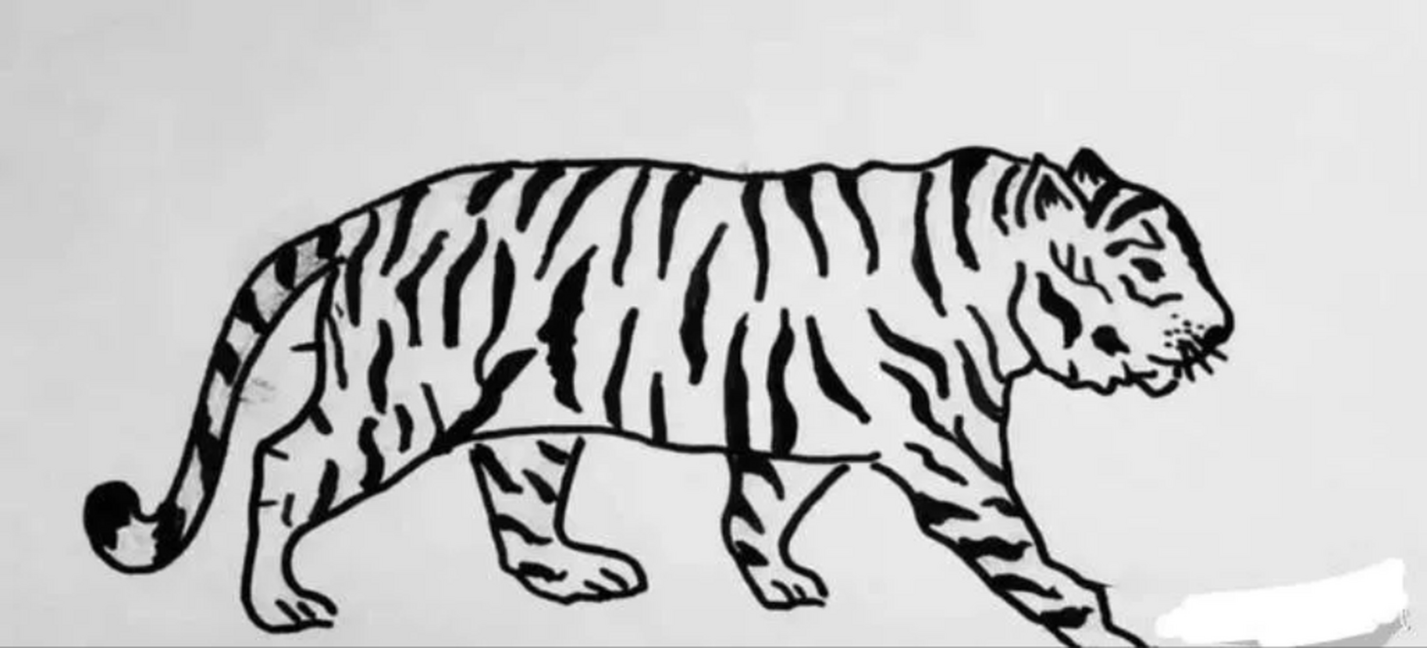 考眼力:老虎图中有3张人脸,你能找出多少张?