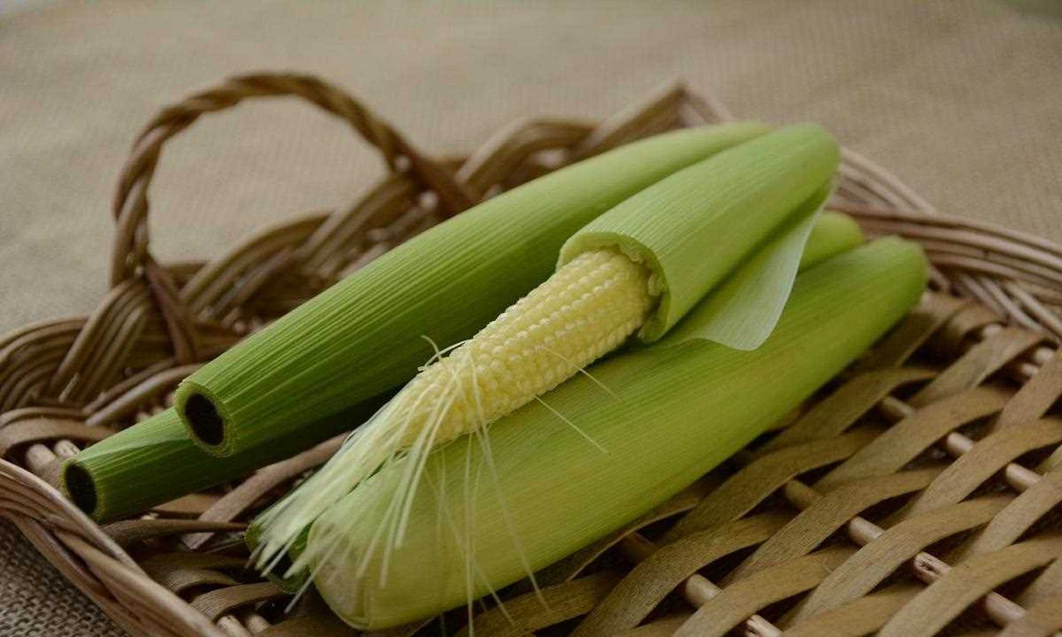 玉米笋 别名珍珠笋,番麦笋 主要季节 1[鼓掌] 挑选方式[汗] 挑玉米笋
