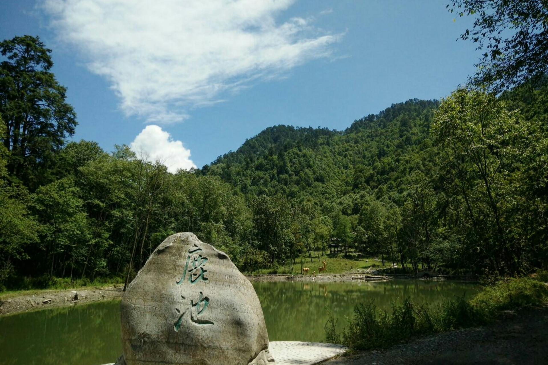雅安喇叭河风,这里被人们誉为是:地球上的绿宝石.