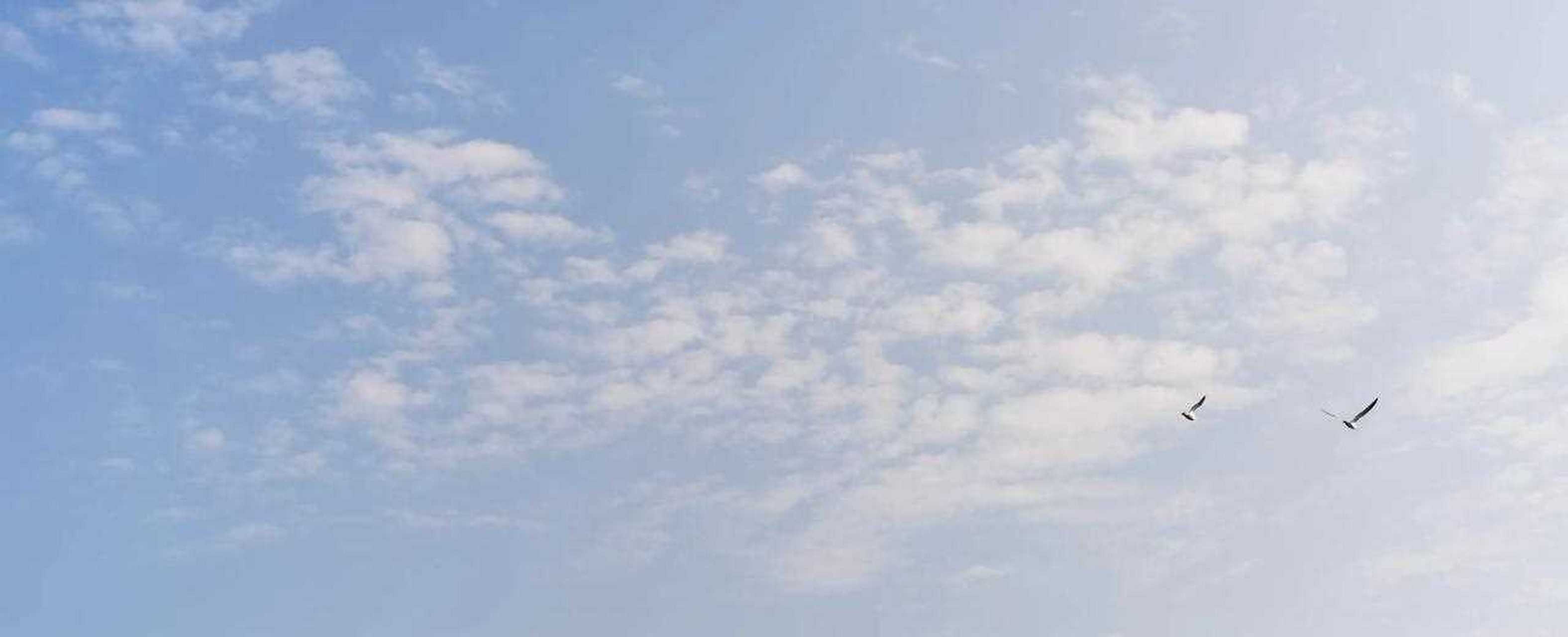 [色] 美丽的天空～～海鸥自由自在的飞翔～～手机随拍存图也是(原创)