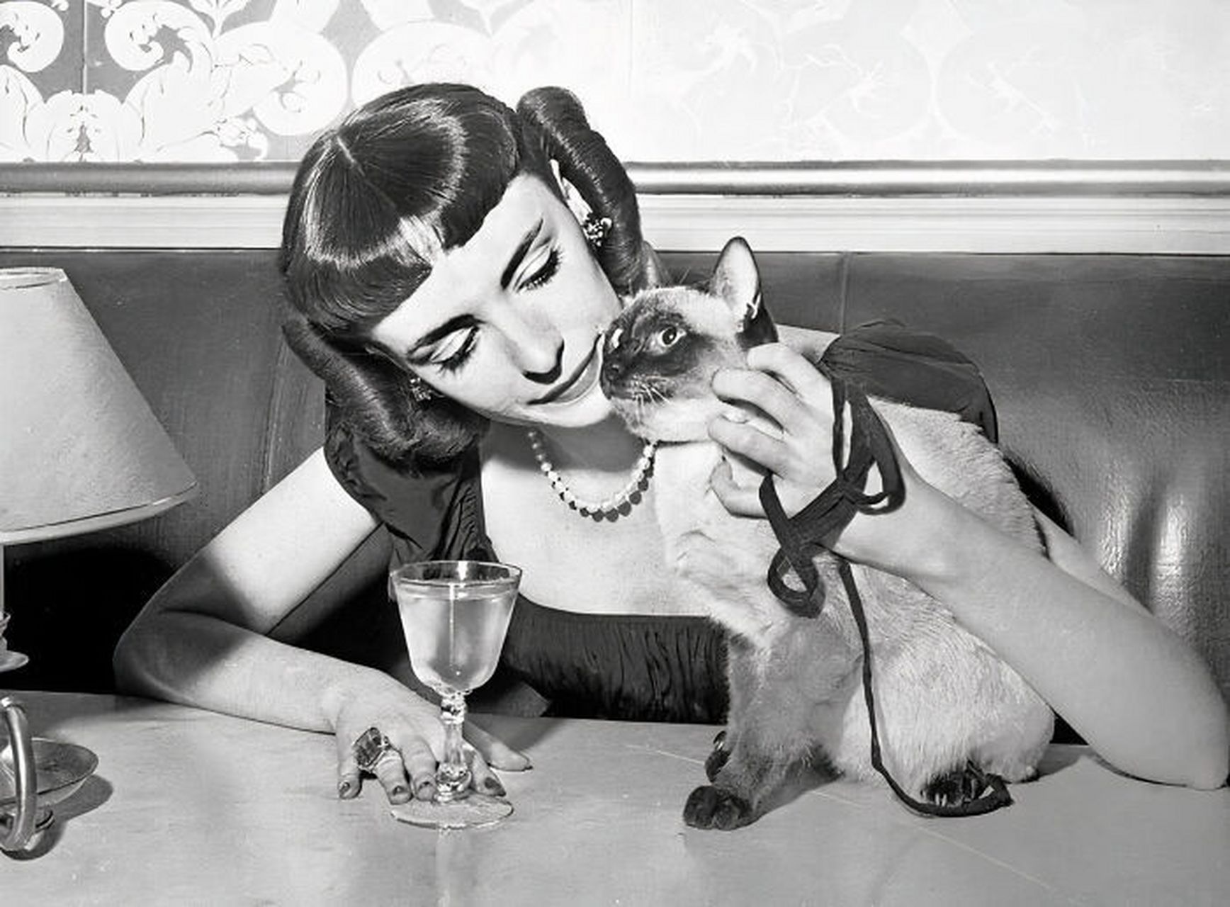 旧照!女星和她们的猫猫!