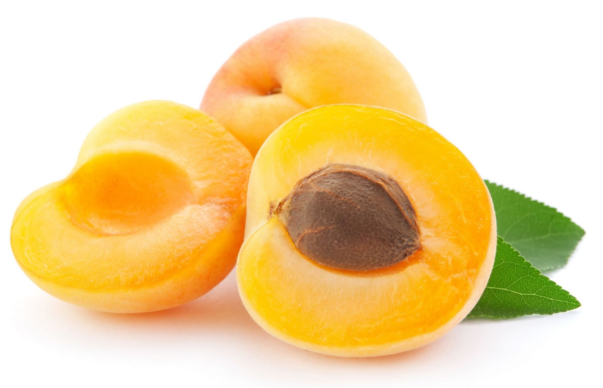 "宅心人厚"这汉语有意思,感觉就是我们肥宅的真实写照.