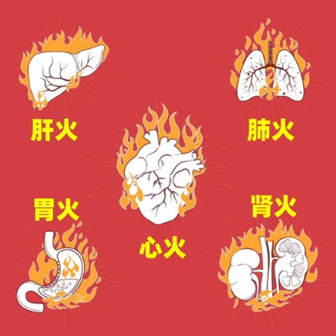 五脏上火,五官不同(顺口溜,要记牢) 肺火头皮痒疙瘩,清肺抑火丸滋补.