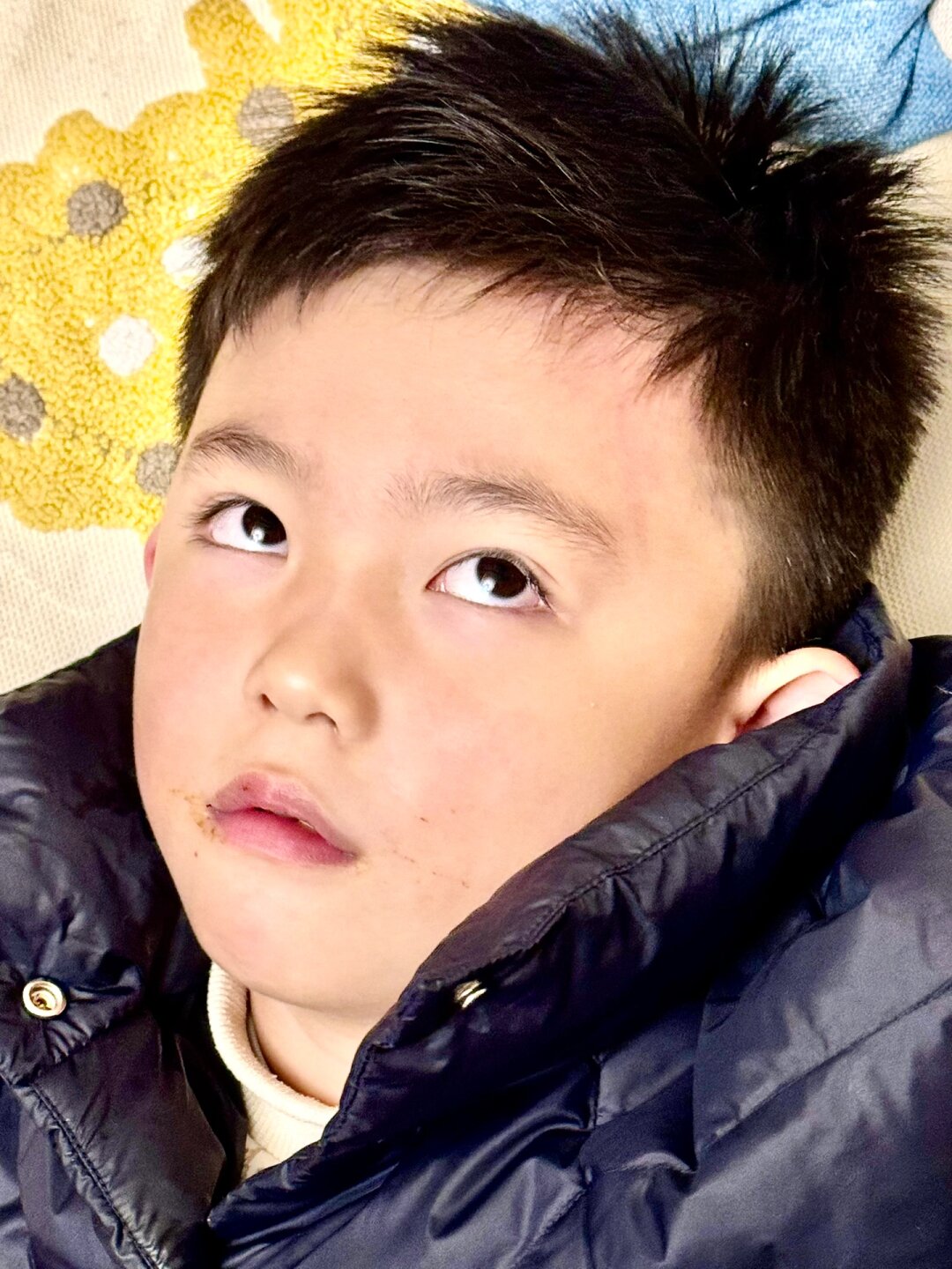 小脏嘴躺在棉袄中, 吃完肥肉嘴角油