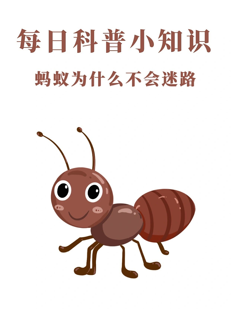蚂蚁为什么