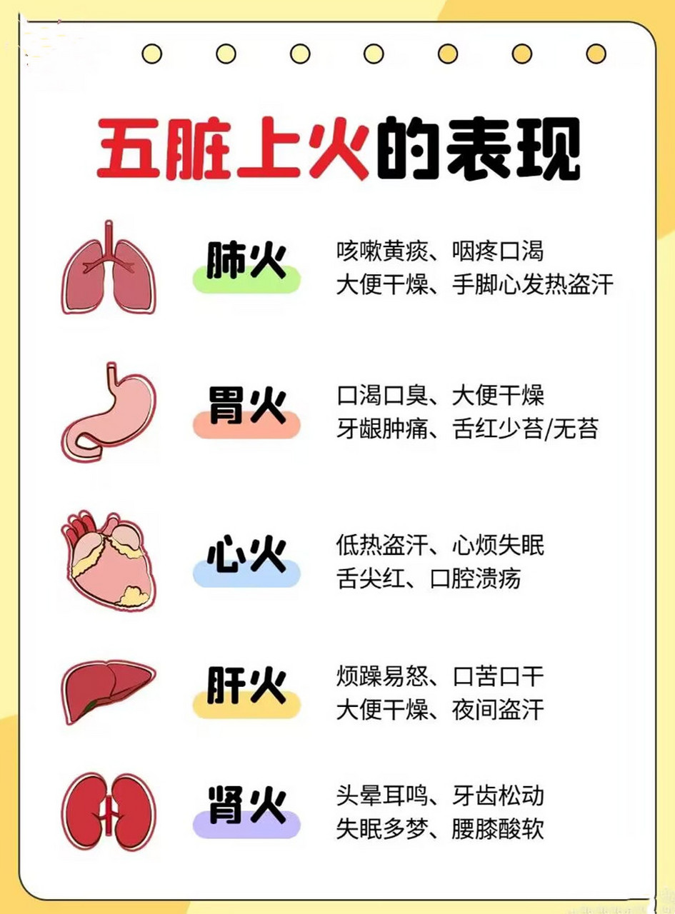 五脏上火的表现,泻火的方法都在这了 几乎人人都经历过口腔溃疡,冒痘