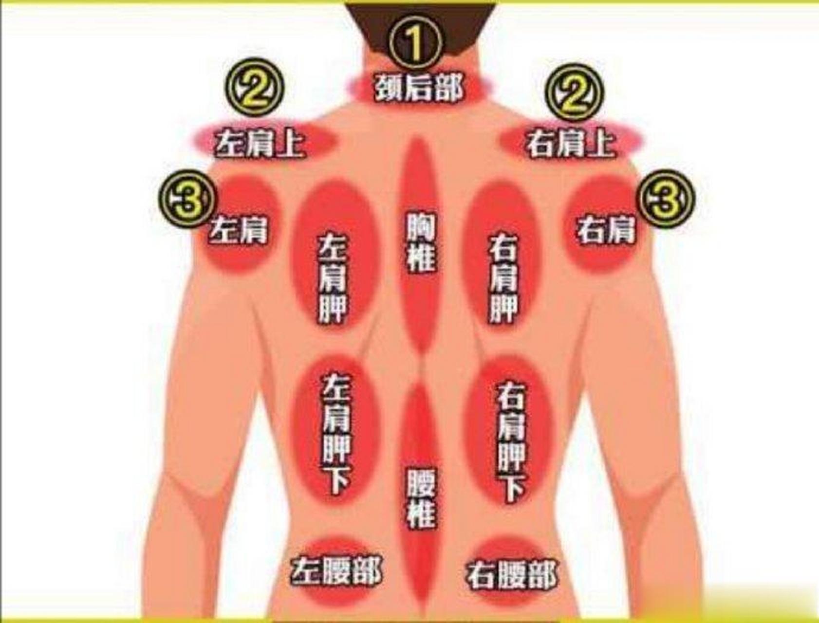 后背右侧疼痛图片