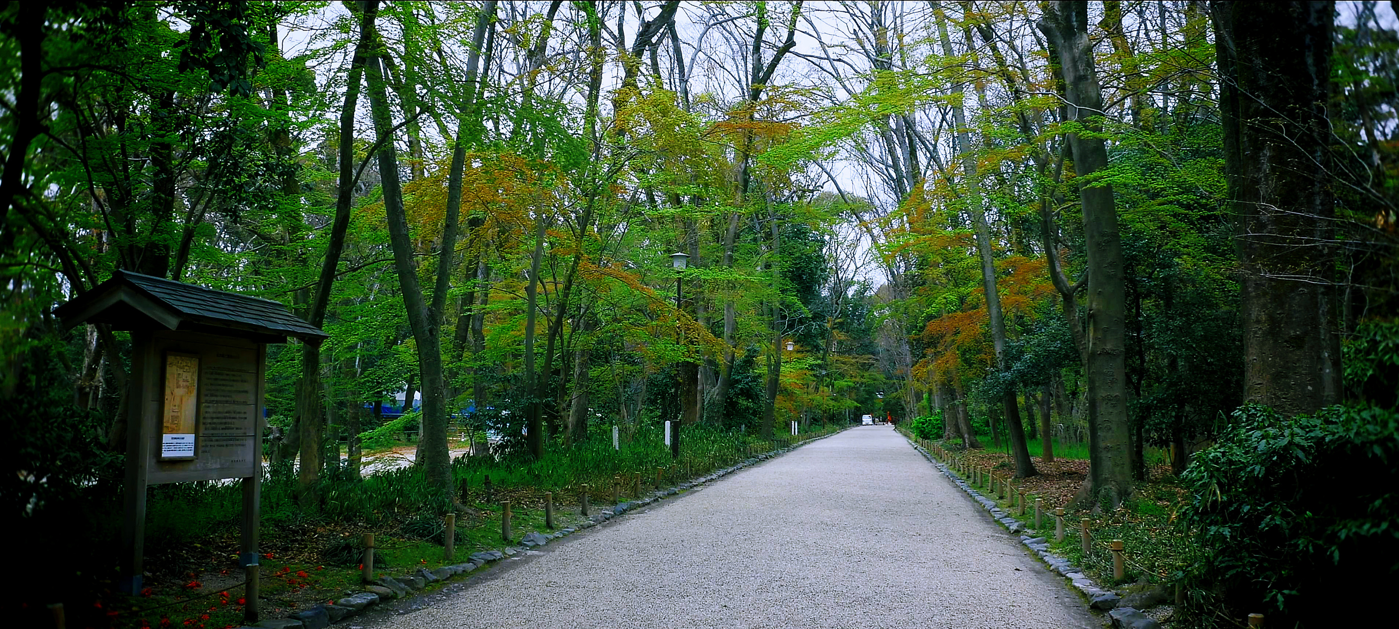 求姻缘的神社:下鸭神社 位于贺茂川,高野川汇流的三角洲北方的下鸭