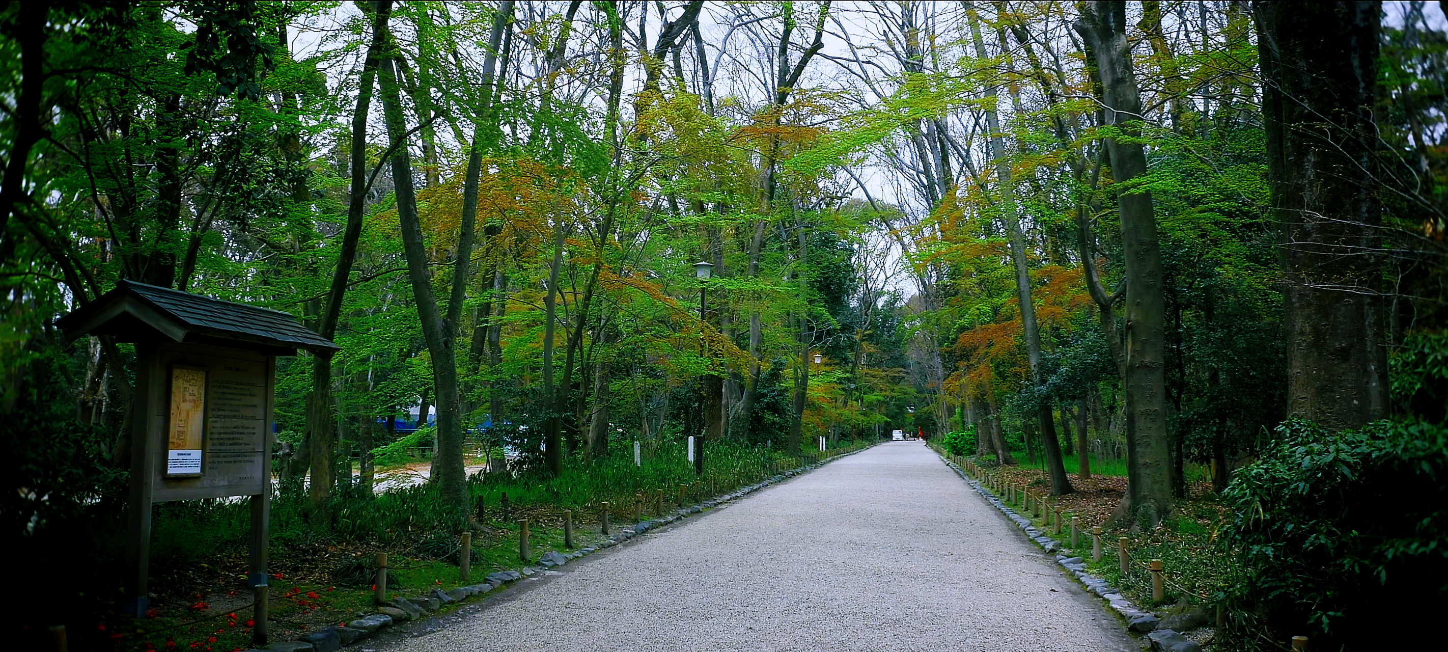 鹭森神社图片