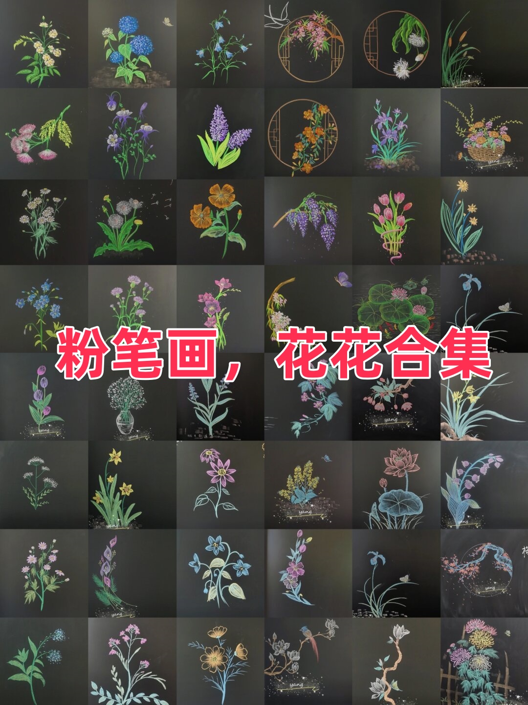 花粉笔画图片大全图片