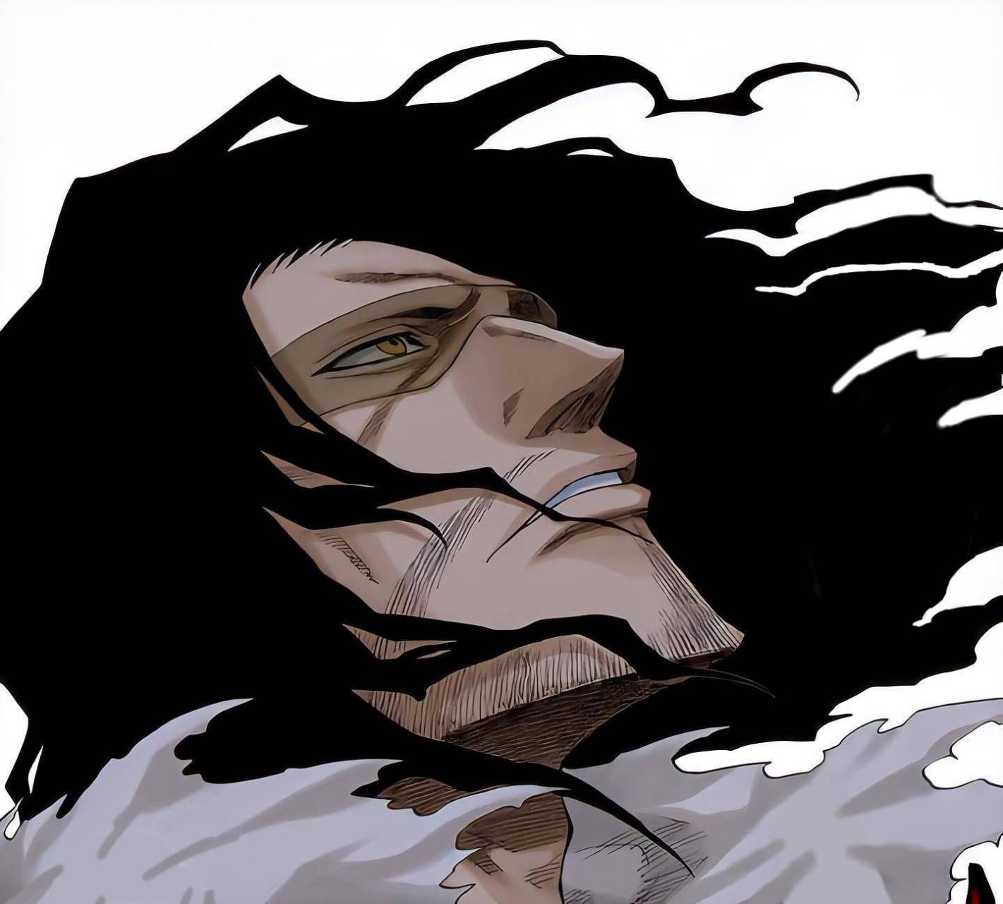 死神# 斩月大叔