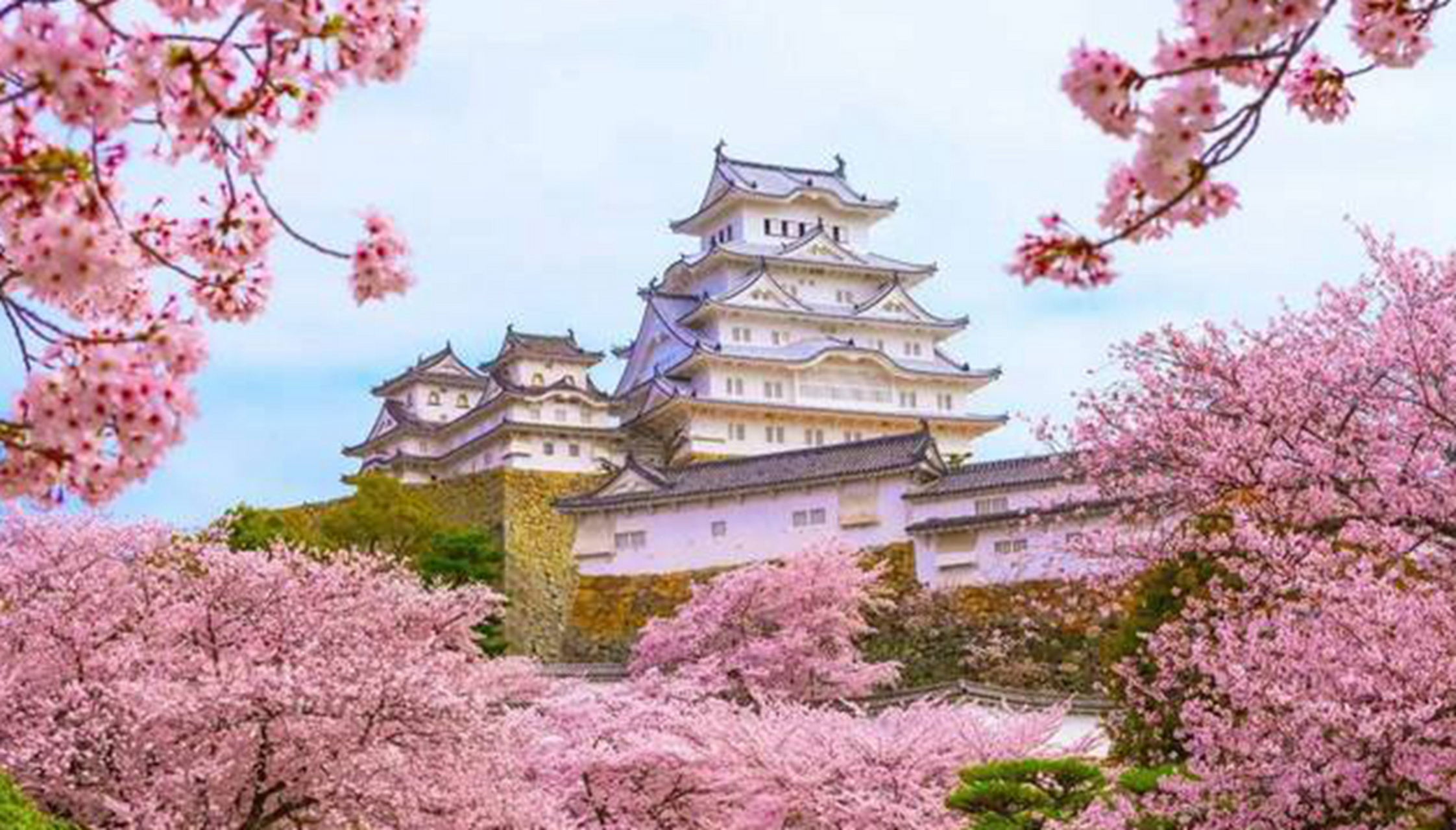 无解的眼神 心像海底针