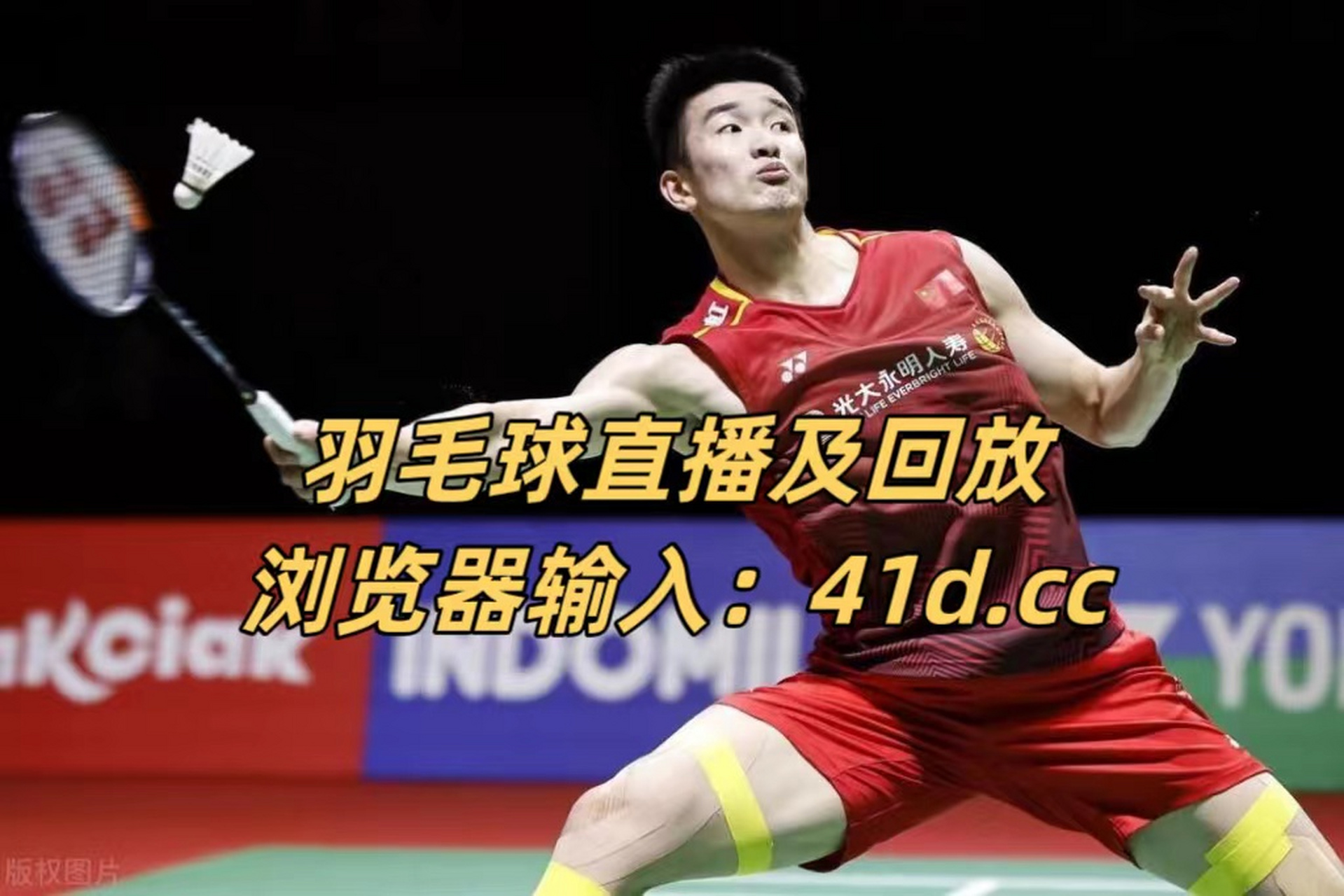 中国男篮vs埃及男篮录像及回放 7月27日晚,正在斯洛文尼亚集训拉练的