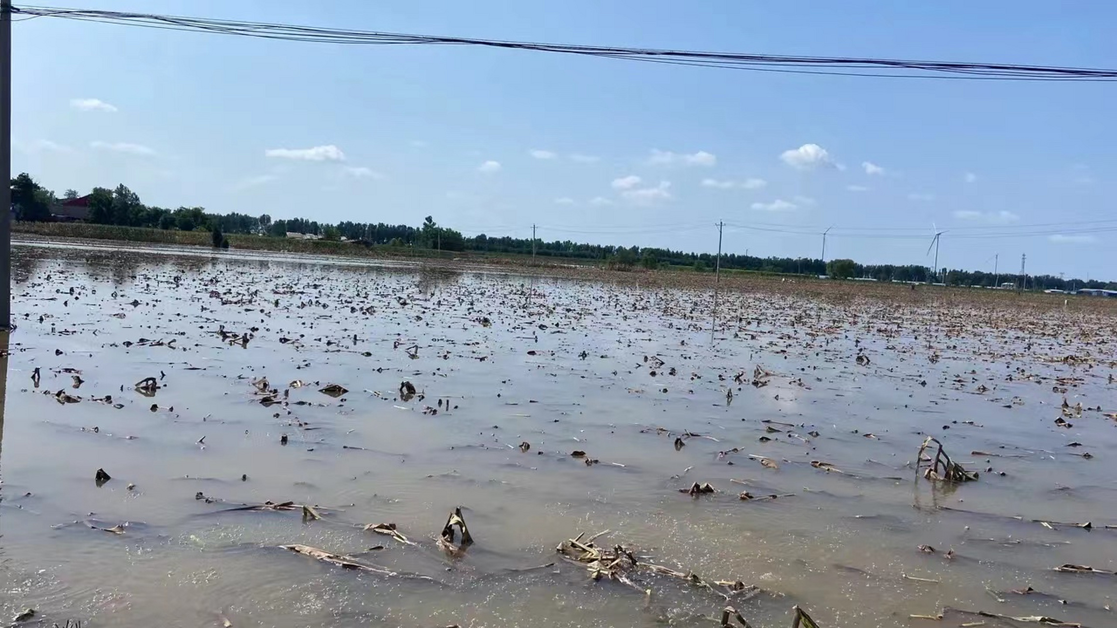 这里经过上次的泄洪今年庄稼是绝收了,水库泄洪南和人民也承担了很多