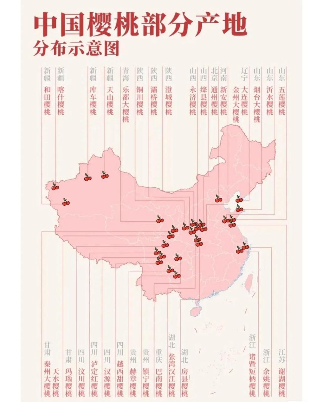 中国各省樱桃主要产地分布图鉴