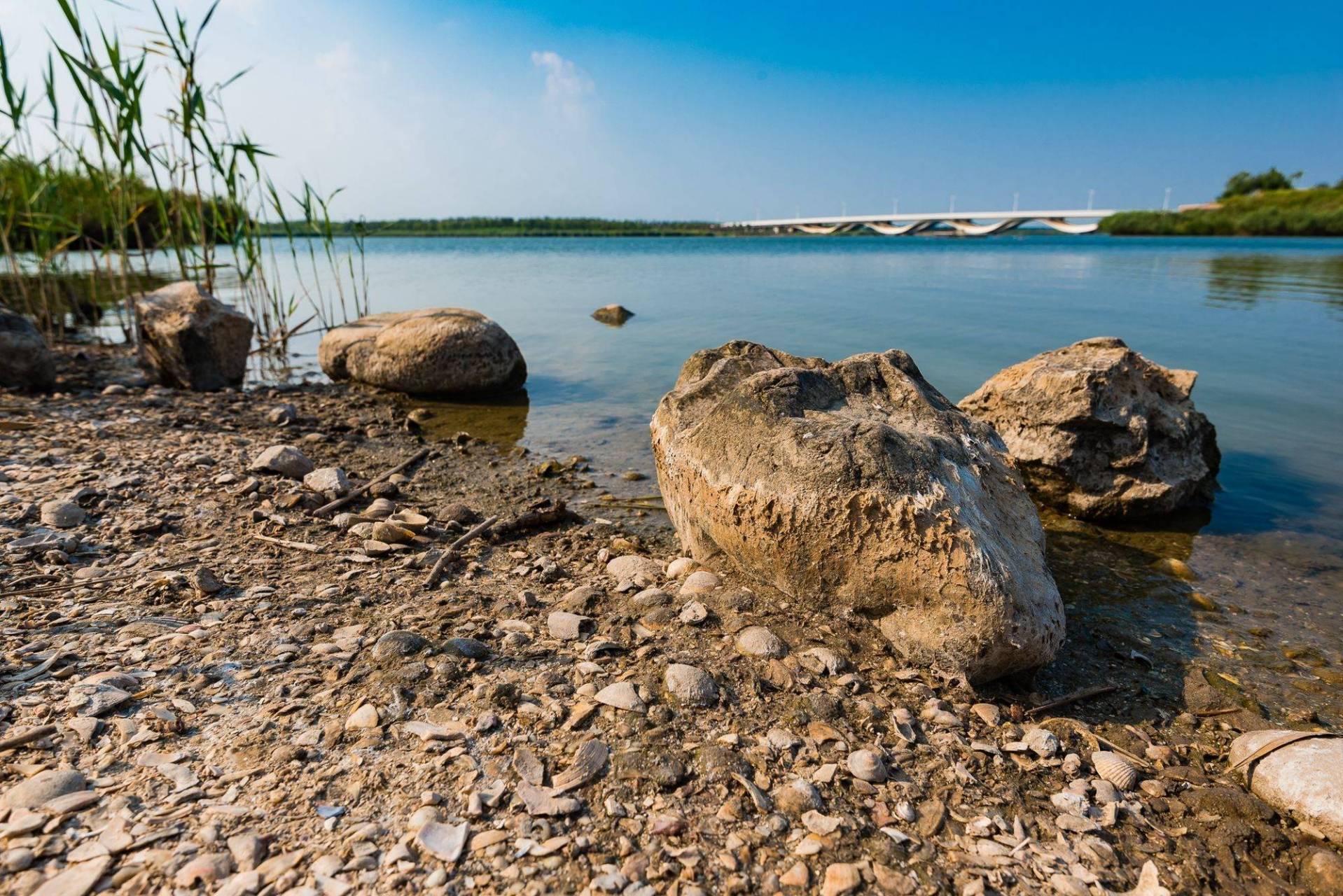 蓟运河故道公园,位于天津市滨海新区中新天津生态城动漫北路,是隐藏在