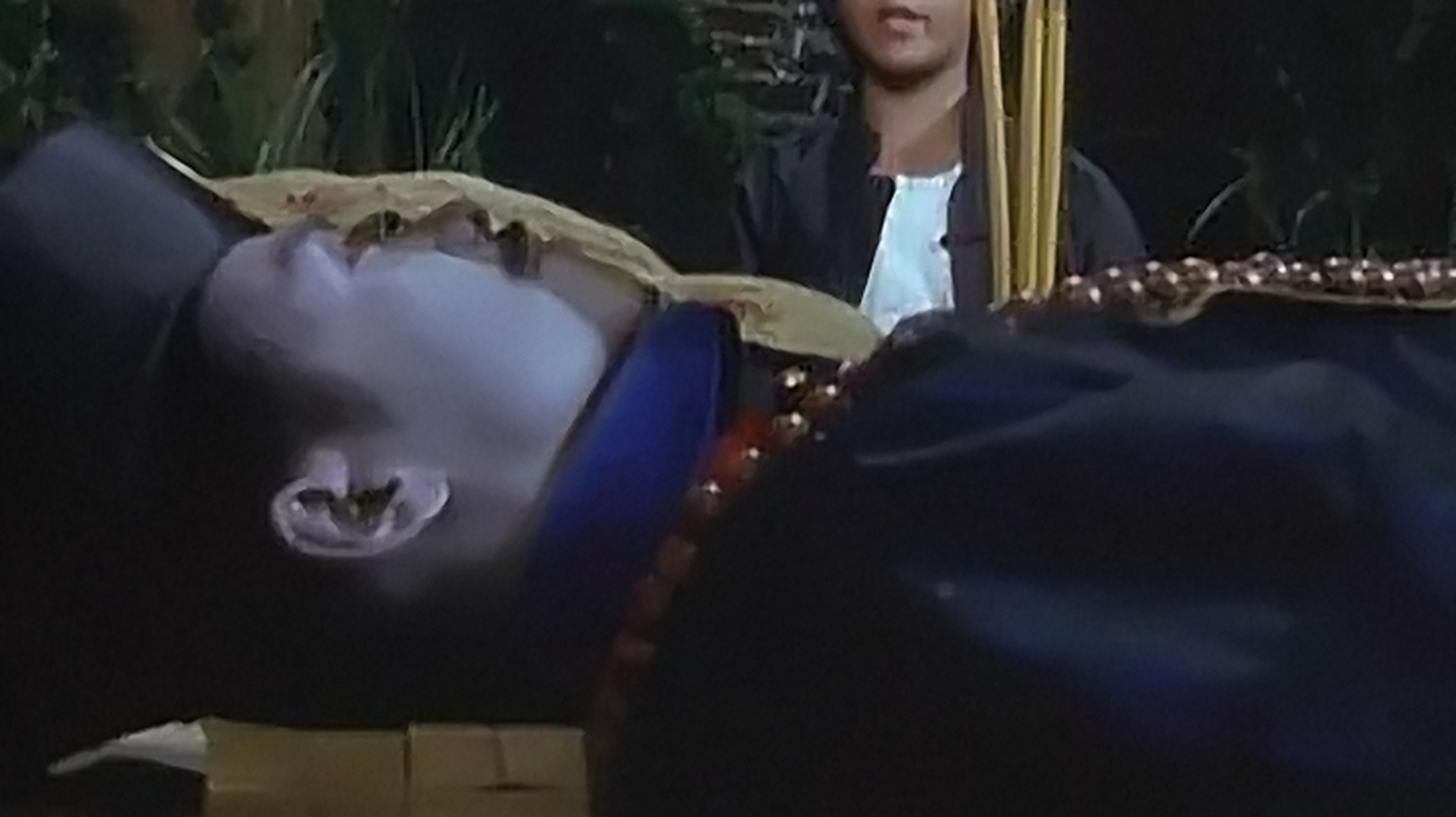 【南充市发现僵尸】2005年9月20日18点17分.