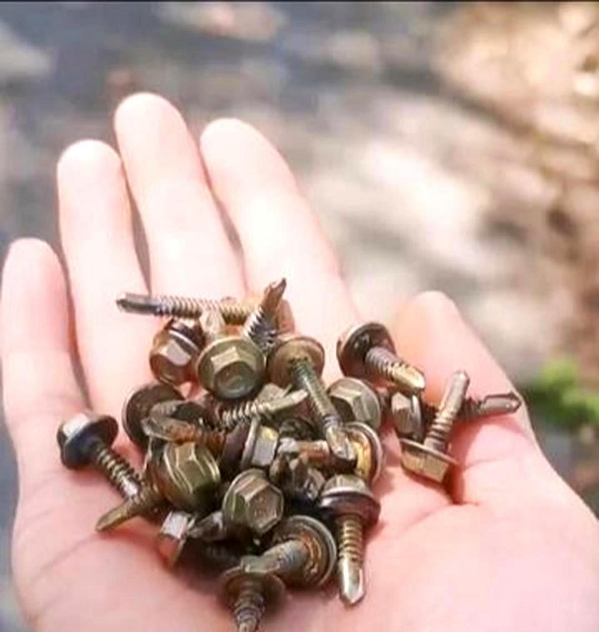 一名男子在江苏常州某景区停车场捡到了26个螺丝钉,随后报警并引起
