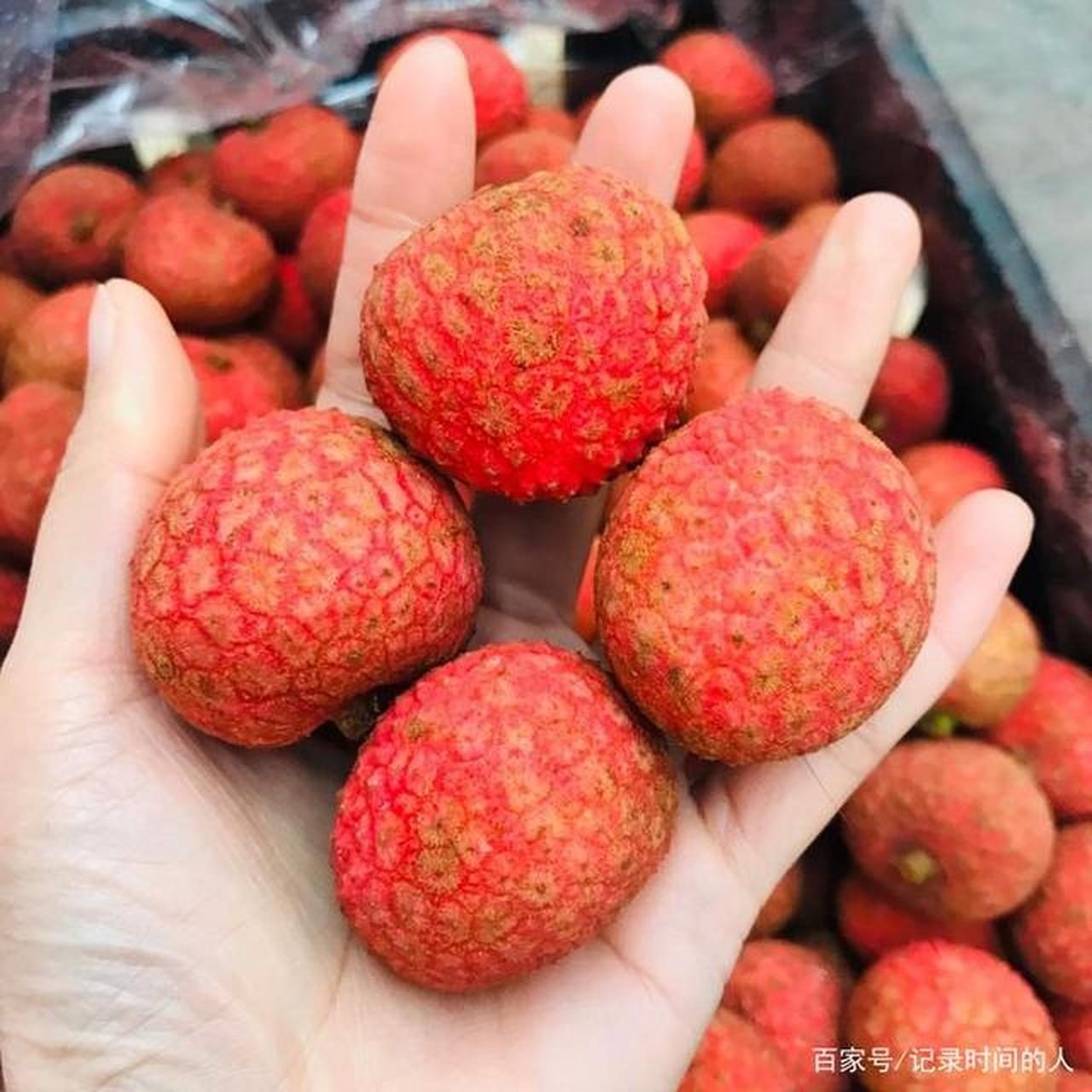 台湾十大经典水果