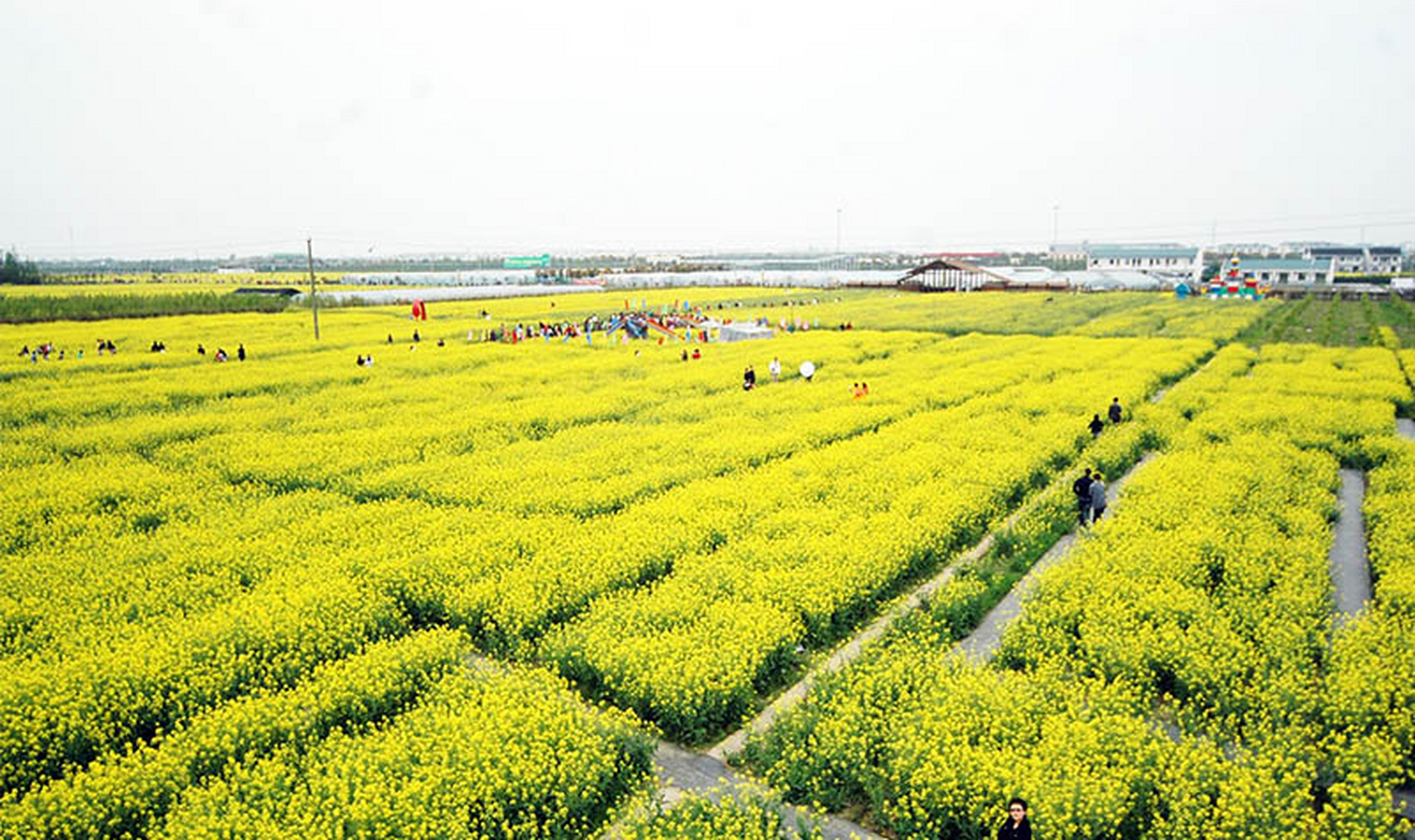 城市种草团