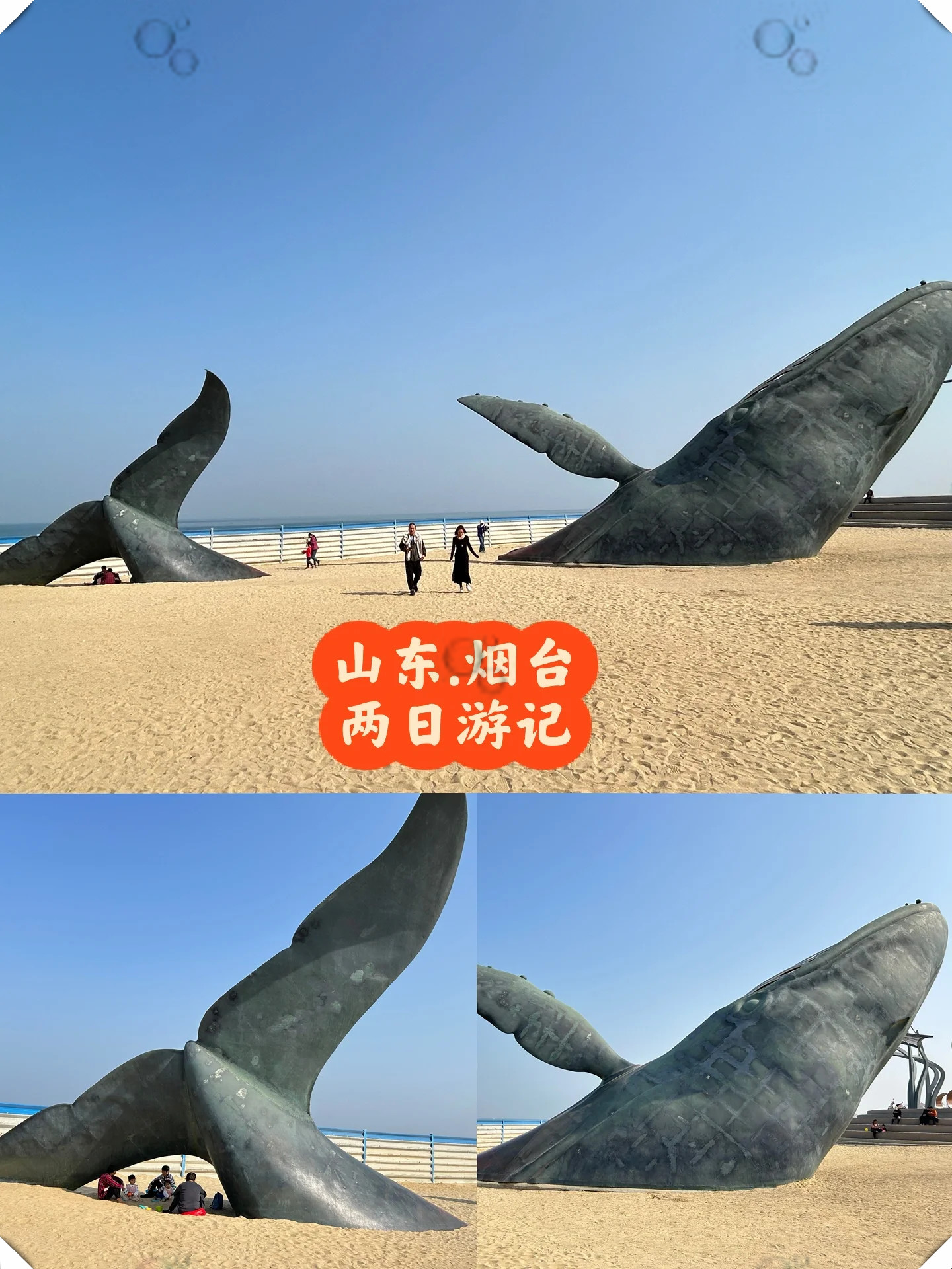 浪漫旅途 山东烟台两日游