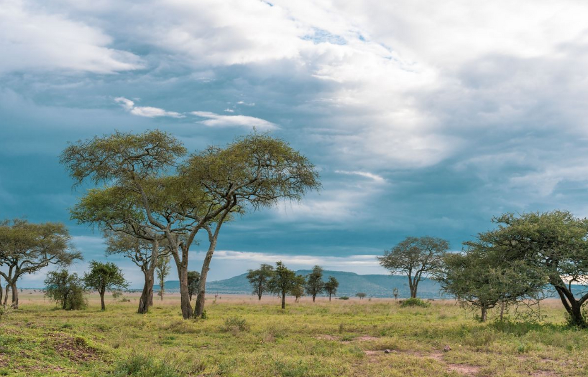 卡卡杜国家公园  卡卡杜国家公园位于澳大利亚,但这里其实并不属于