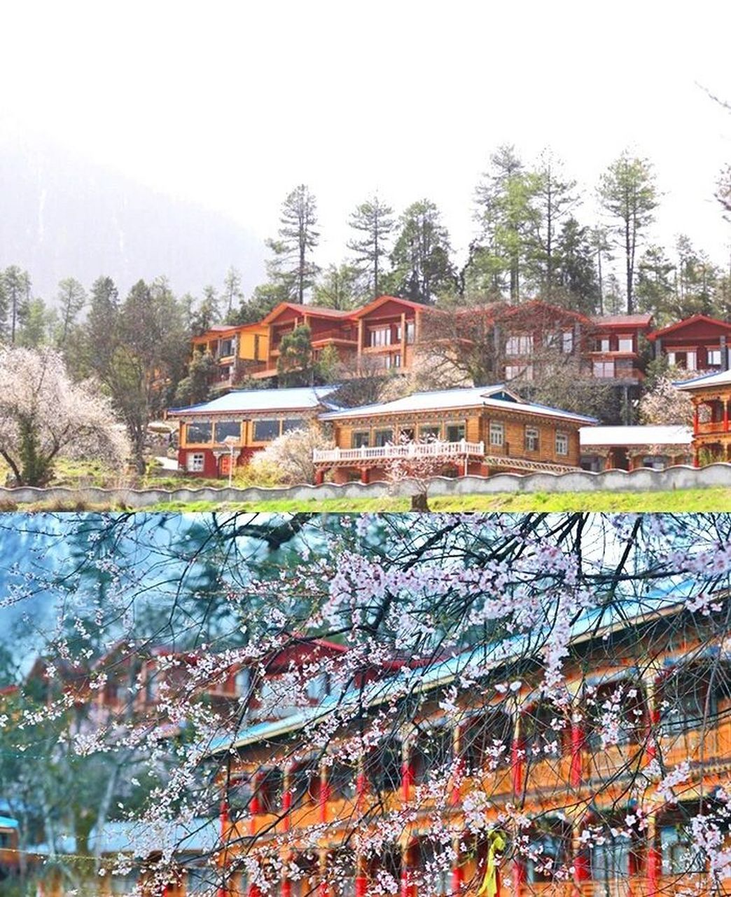 林芝地区的住宿一般集中在八一镇,波密,鲁朗小镇,雅鲁藏布大峡谷(索松