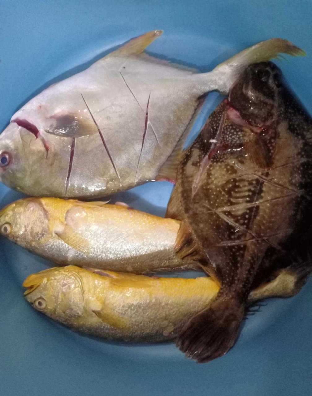 刚从菜市场回来,买了一点虾,一条蝴蝶鱼,一条金鲳鱼,两条黄花鱼和买了