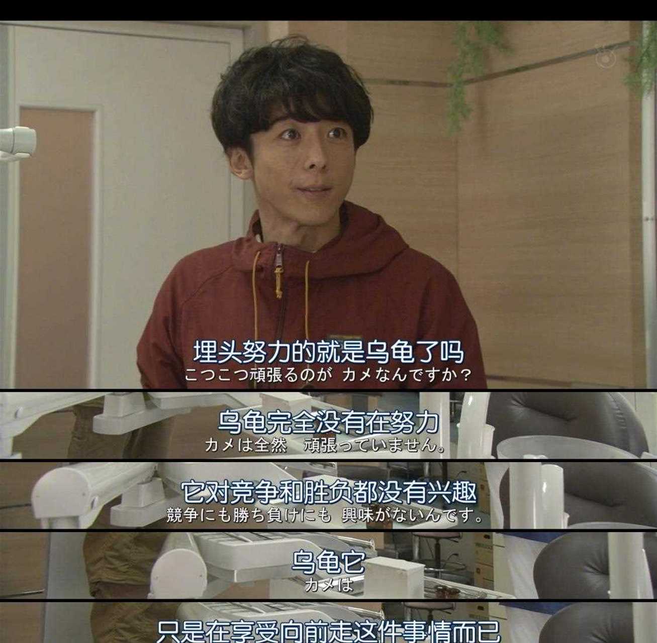 昨天有读者说到《我们由奇迹构成》里这段关于龟兔赛跑的解读,确实超