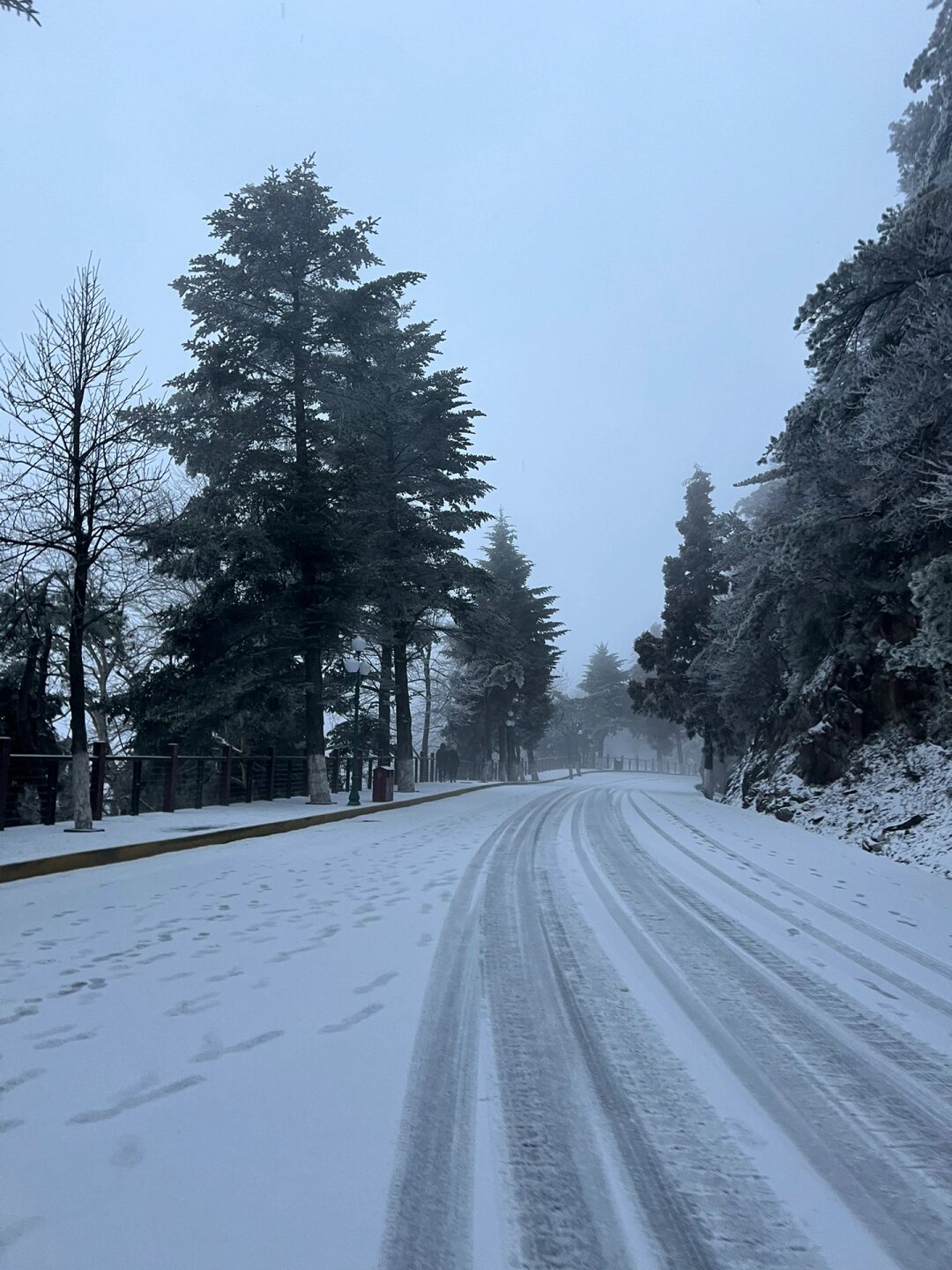 冬天的庐山 值得去一万次 坐标南昌,想去看雪,庐山是最低成本且不用