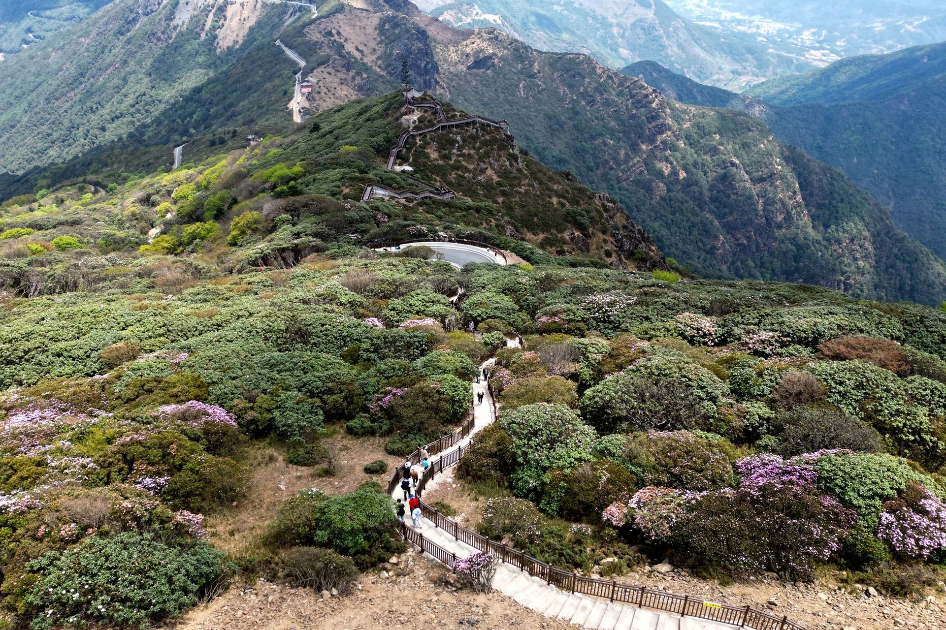 会理龙肘山路况图片