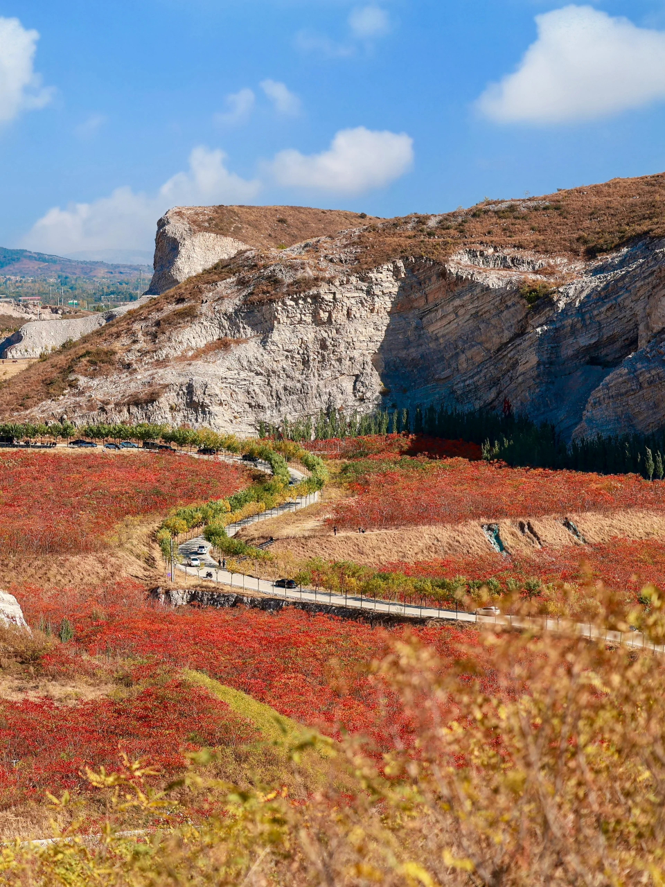 蒋福山风景区门票图片