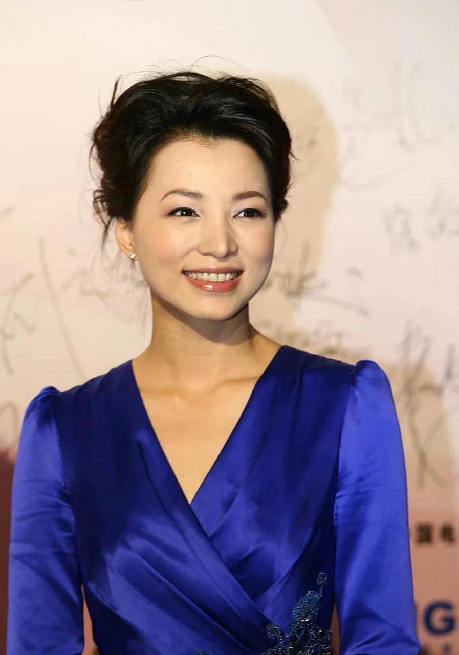 董卿,15张精美的照片