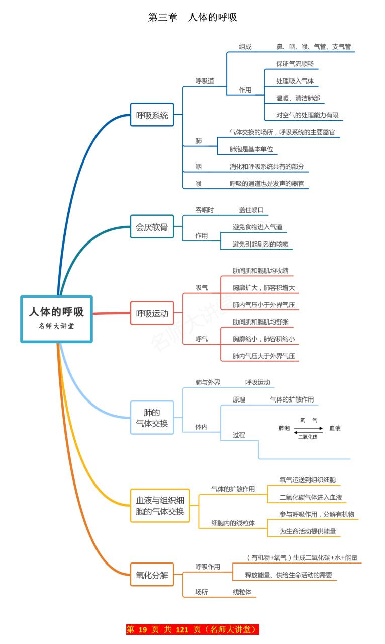 七下生物整册思维导图图片