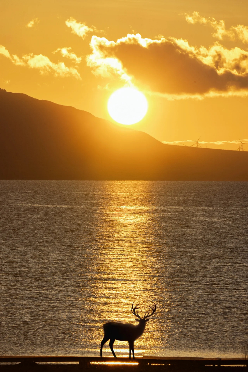 记录秋天一定要用的滤镜秋日高级感色调  滤镜:风景-金台夕照 曝光-6
