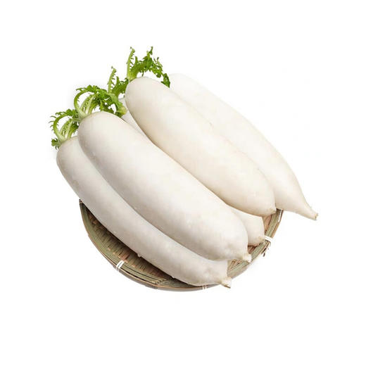 厚腻是由于胃火过大引起的,舌苔白萝卜白萝卜图片白萝卜图片大全大图