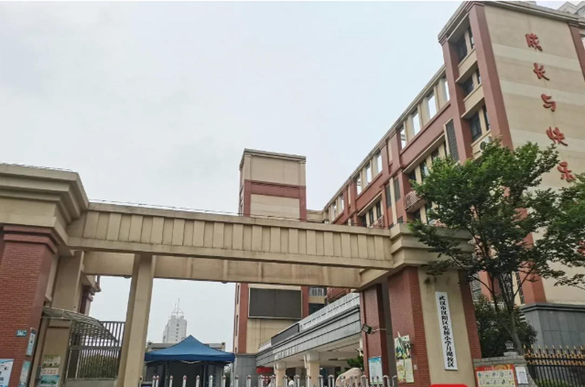 近期发生的武汉小学生被碾压事件引发了社会广泛关注