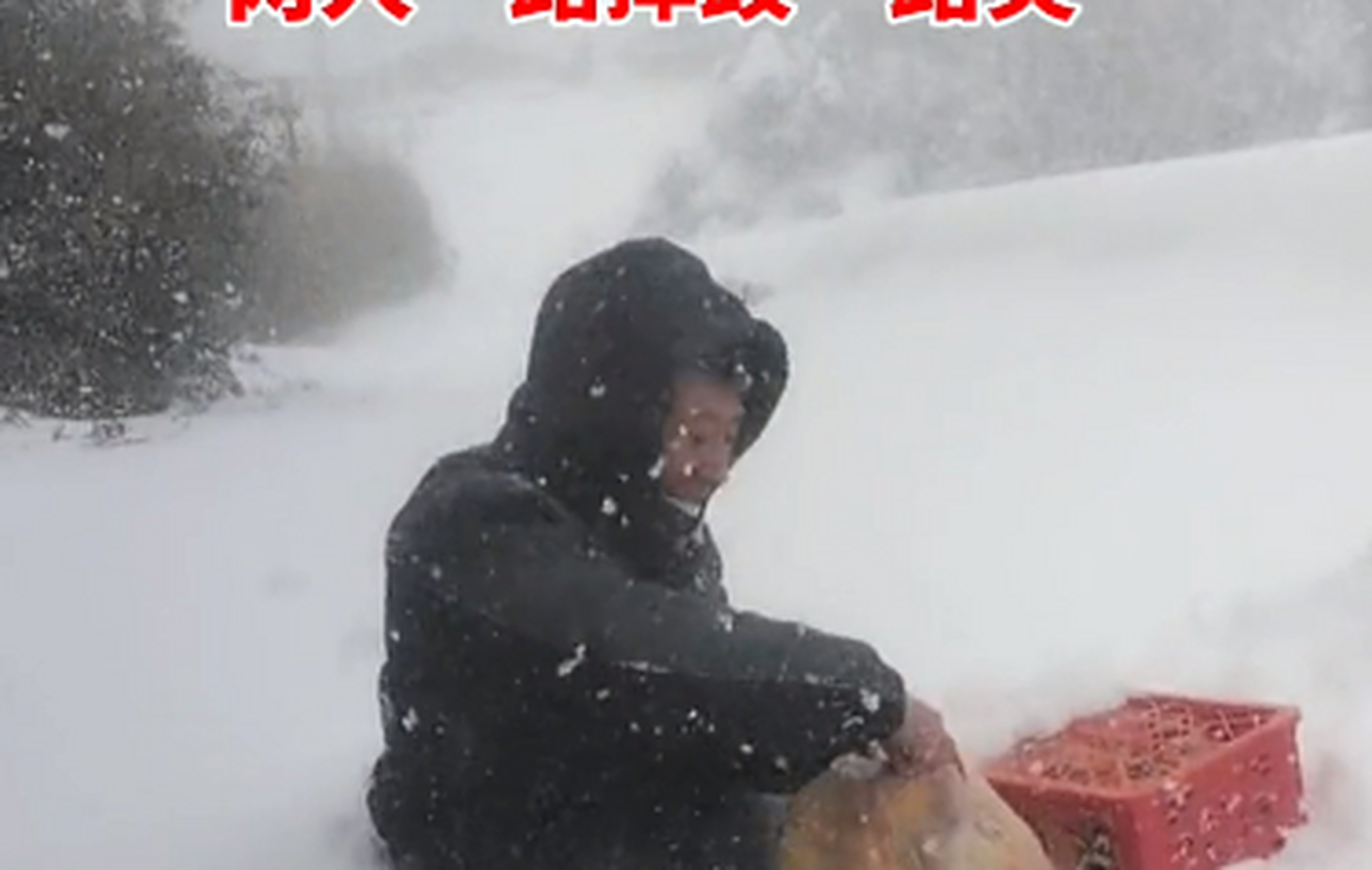 妻子想吃橙子,丈夫蹚著半米高雪去買,兩人一路摔跤一路笑