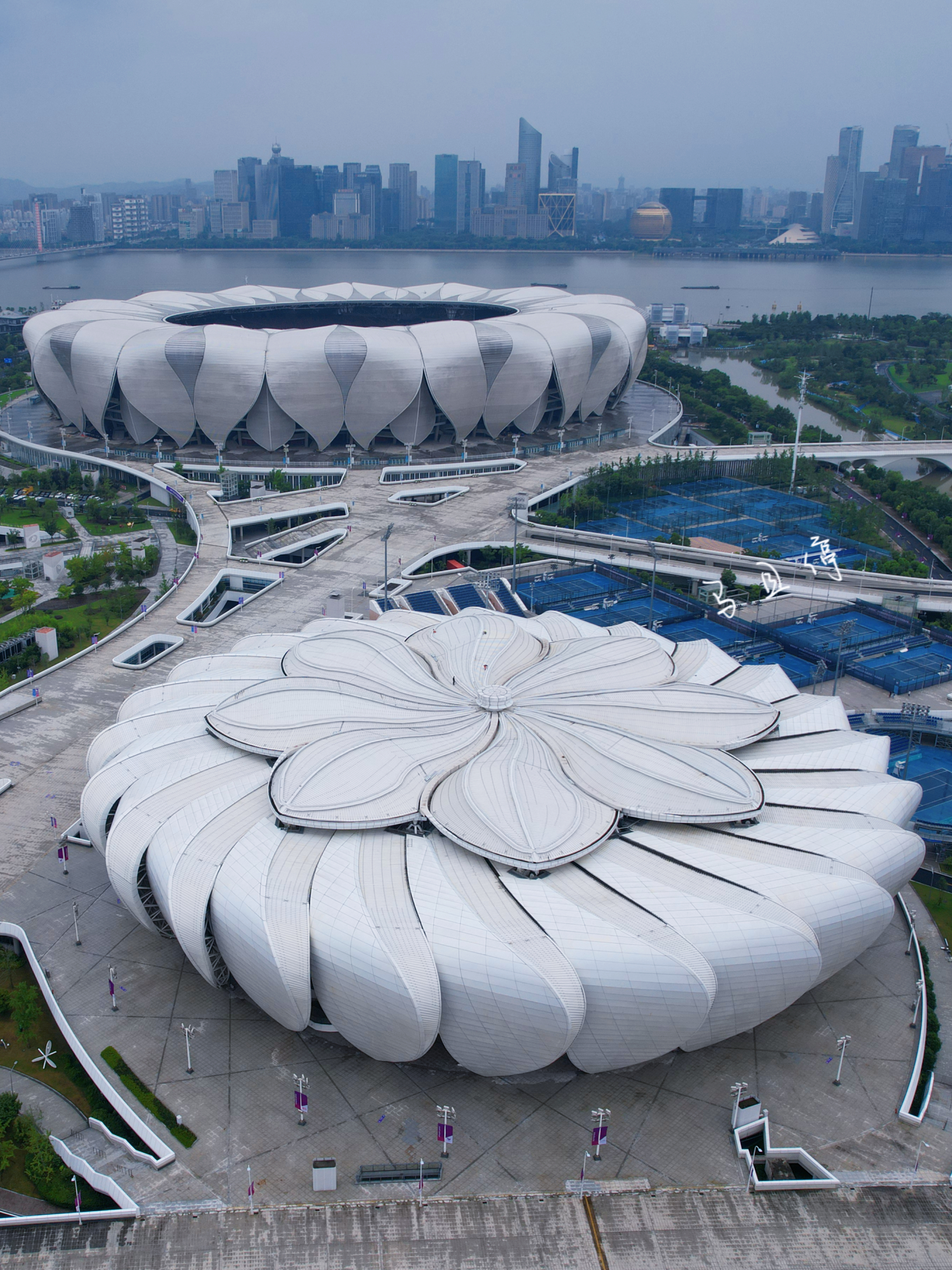 杭州莲花广场图片