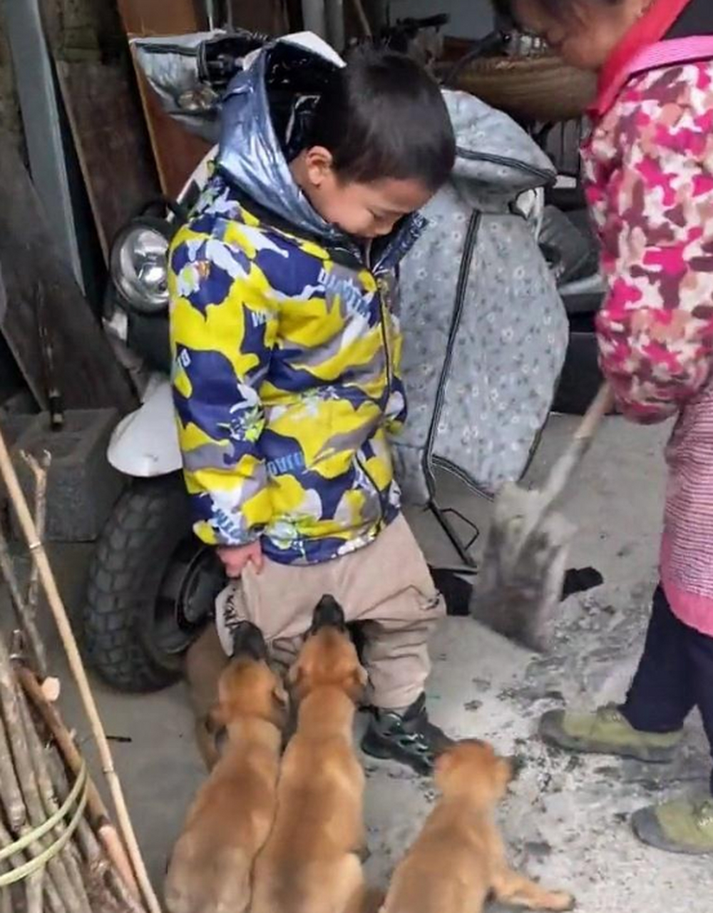 小朋友你这是拉裤裆里面了吗?