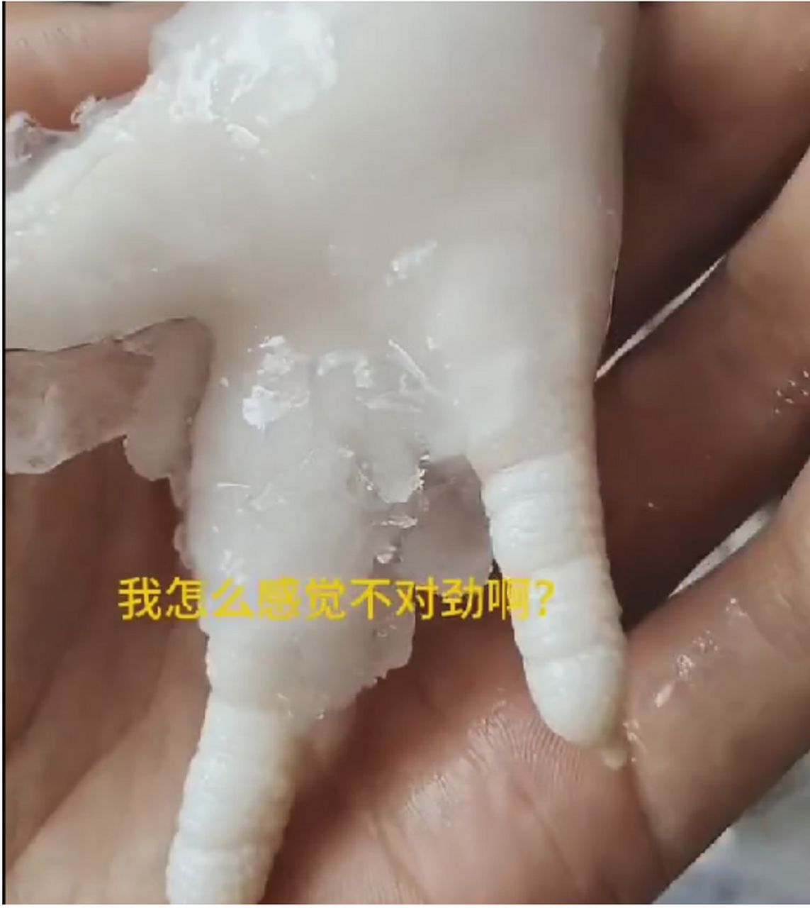 并夕夕总能给你意想不到的惊喜