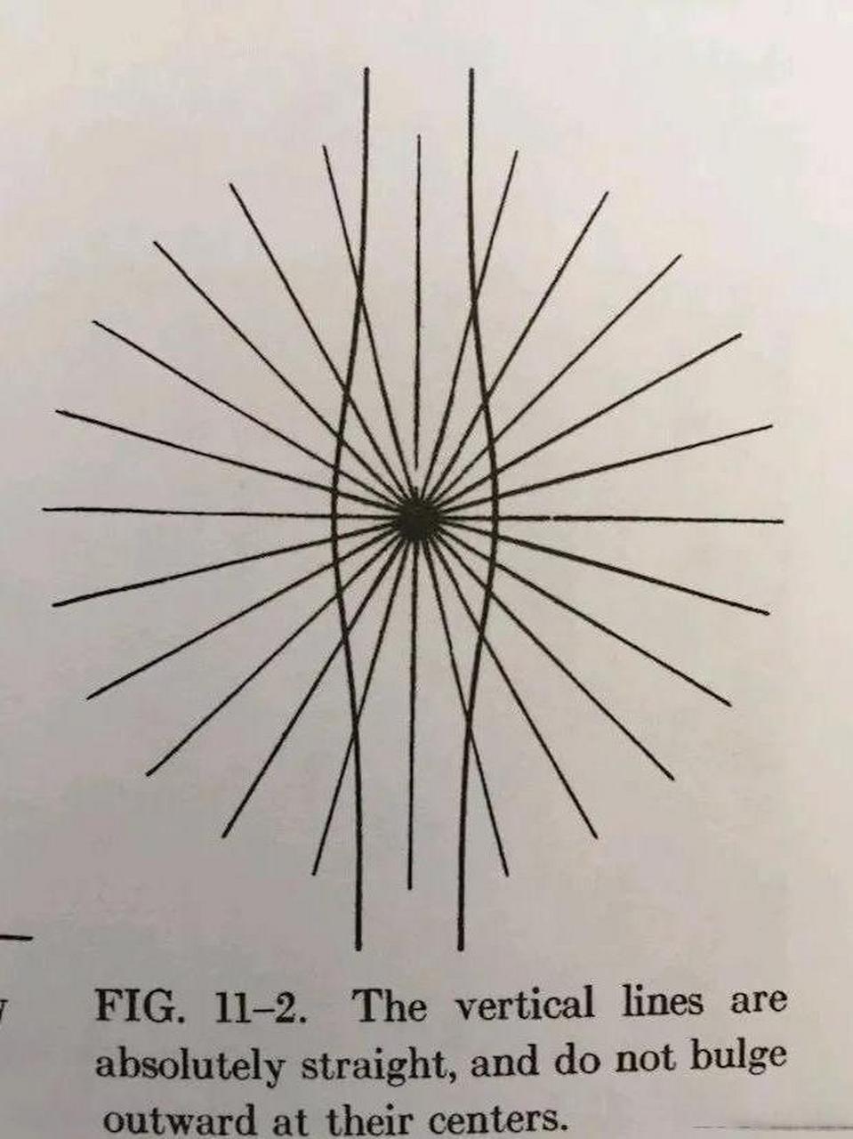 智商测试说这两条线是直的